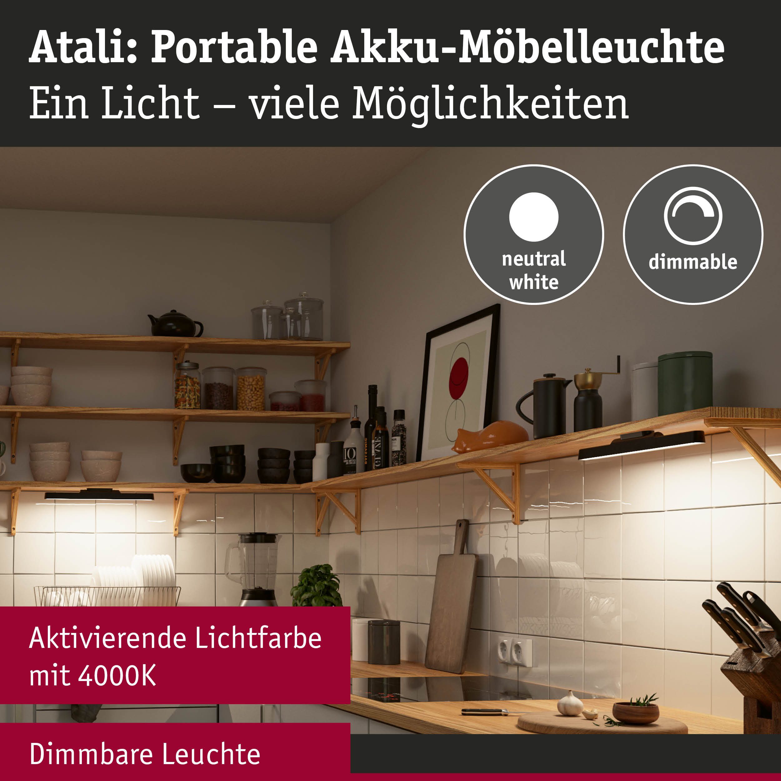 Paulmann Inbouwlamp Mobiele meubelopbouwlamp Atali 240lm 4000K