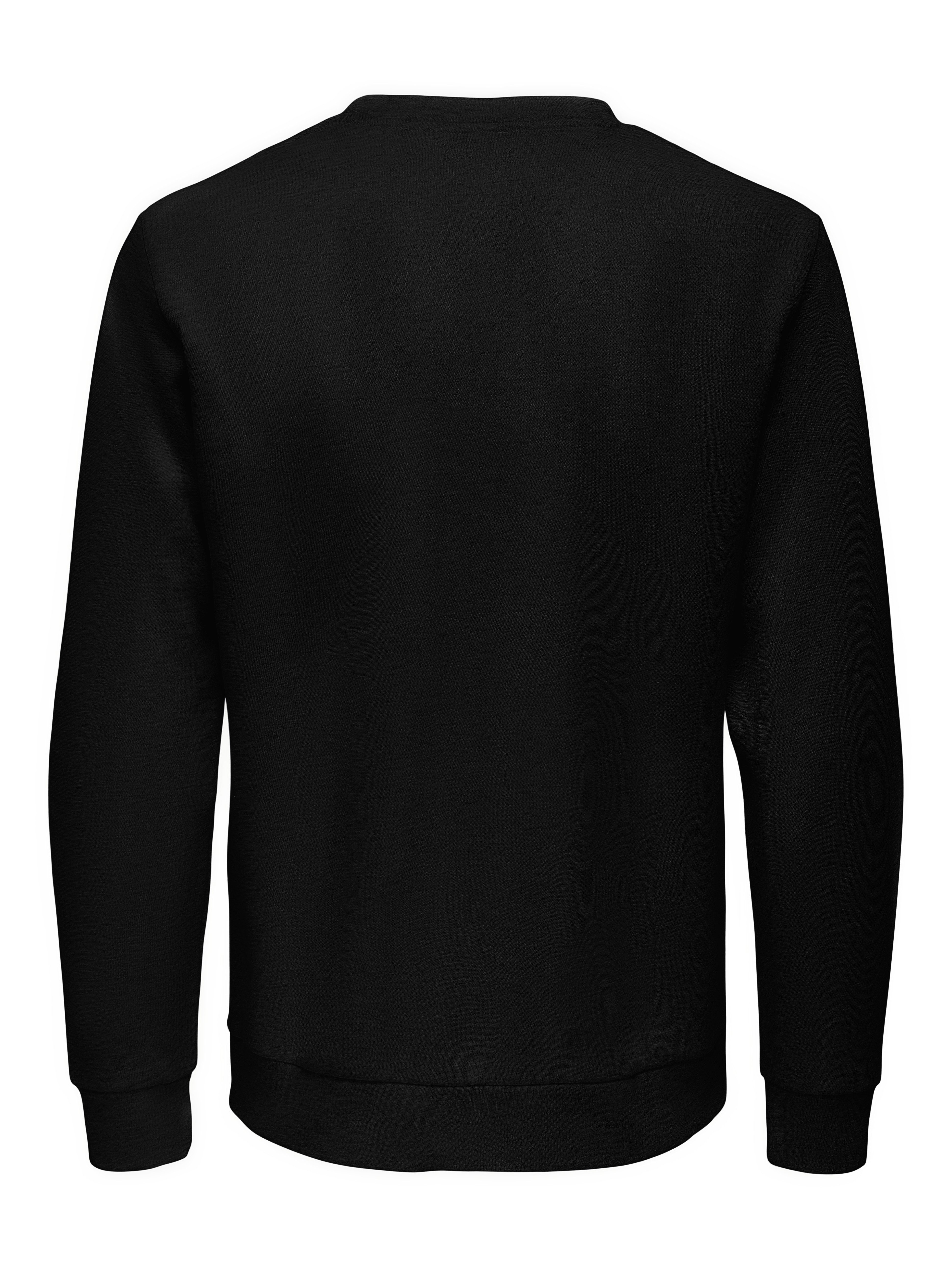 ONLY & SONS Sweatshirt ONSCHASE REG CREW SWEAT OTL