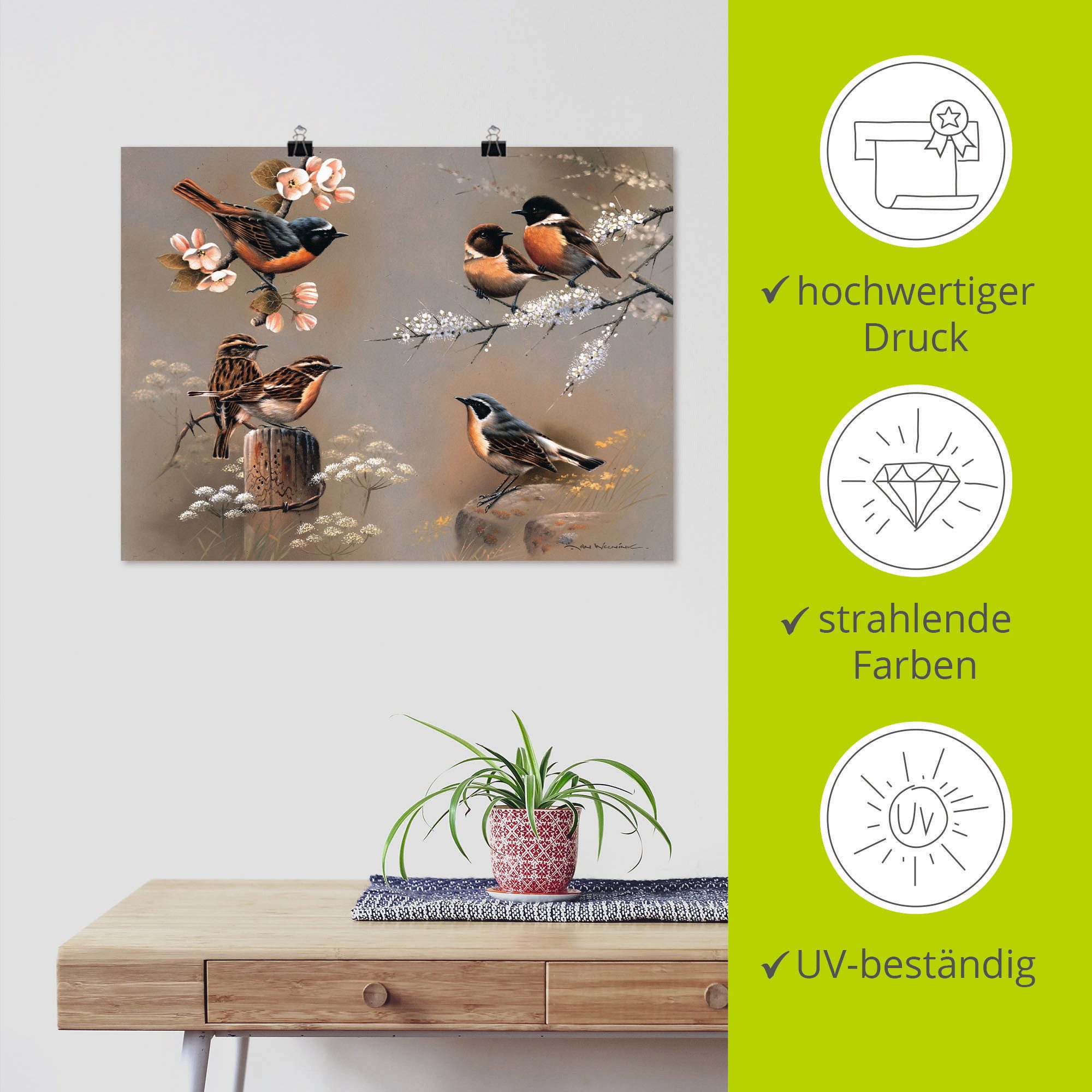 Artland Artprint Vogel compositie als artprint op linnen, poster in verschillende formaten maten