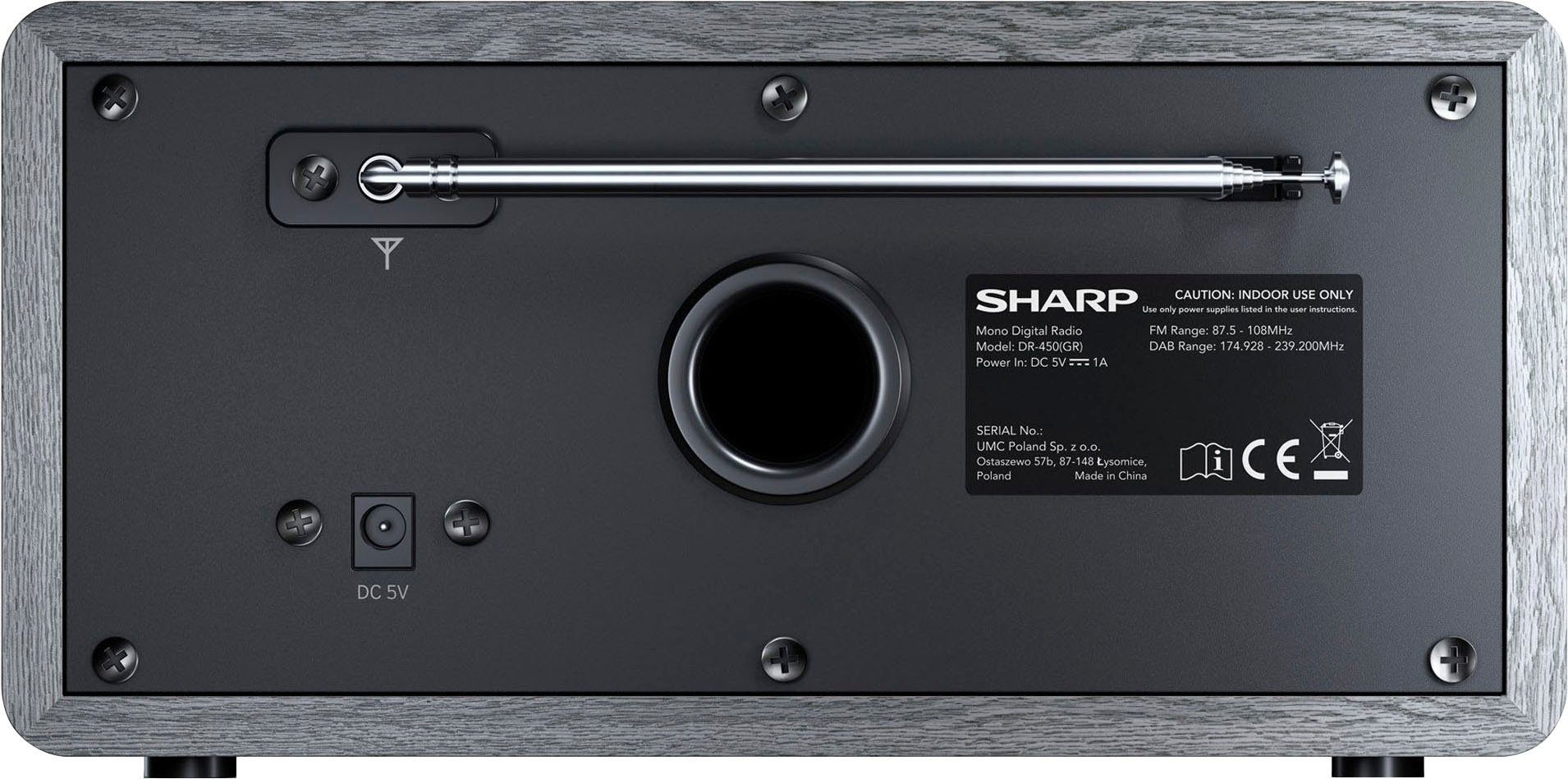 Sharp Digitale radio DAB DR-450