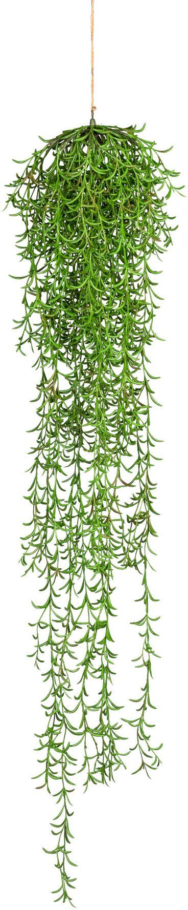 Creativ green Kunstplant Nerifolia hangende mand