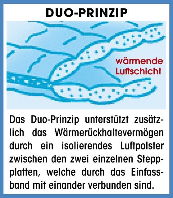 f.a.n. Frankenstolz Dekbed van natuurlijke vezels TENCEL™ linnen natuurlijk, verkoelend slaapklimaat Licht