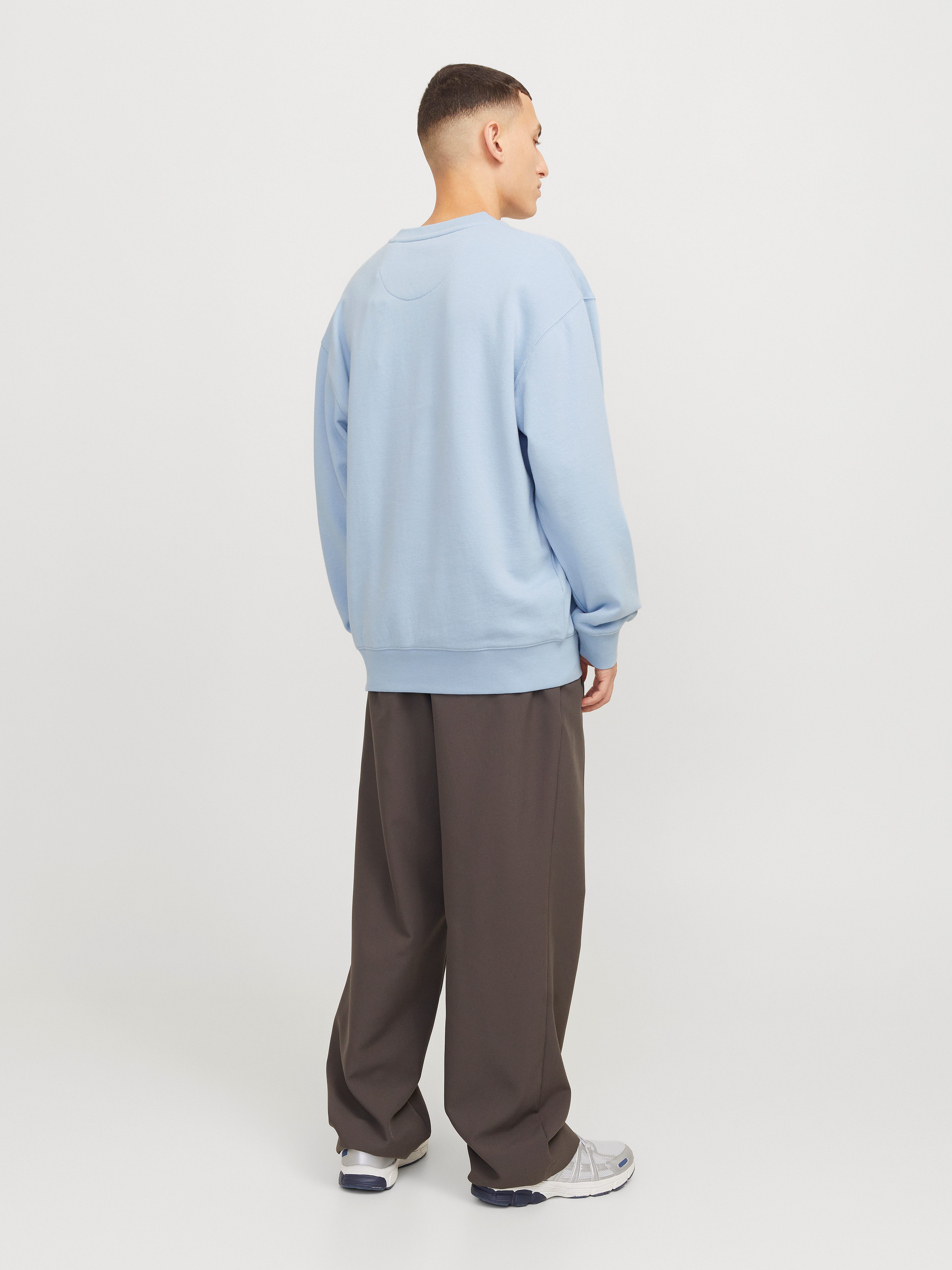 Jack & Jones Sweatshirt JJECHARGE SWEAT CREW NECK NOOS