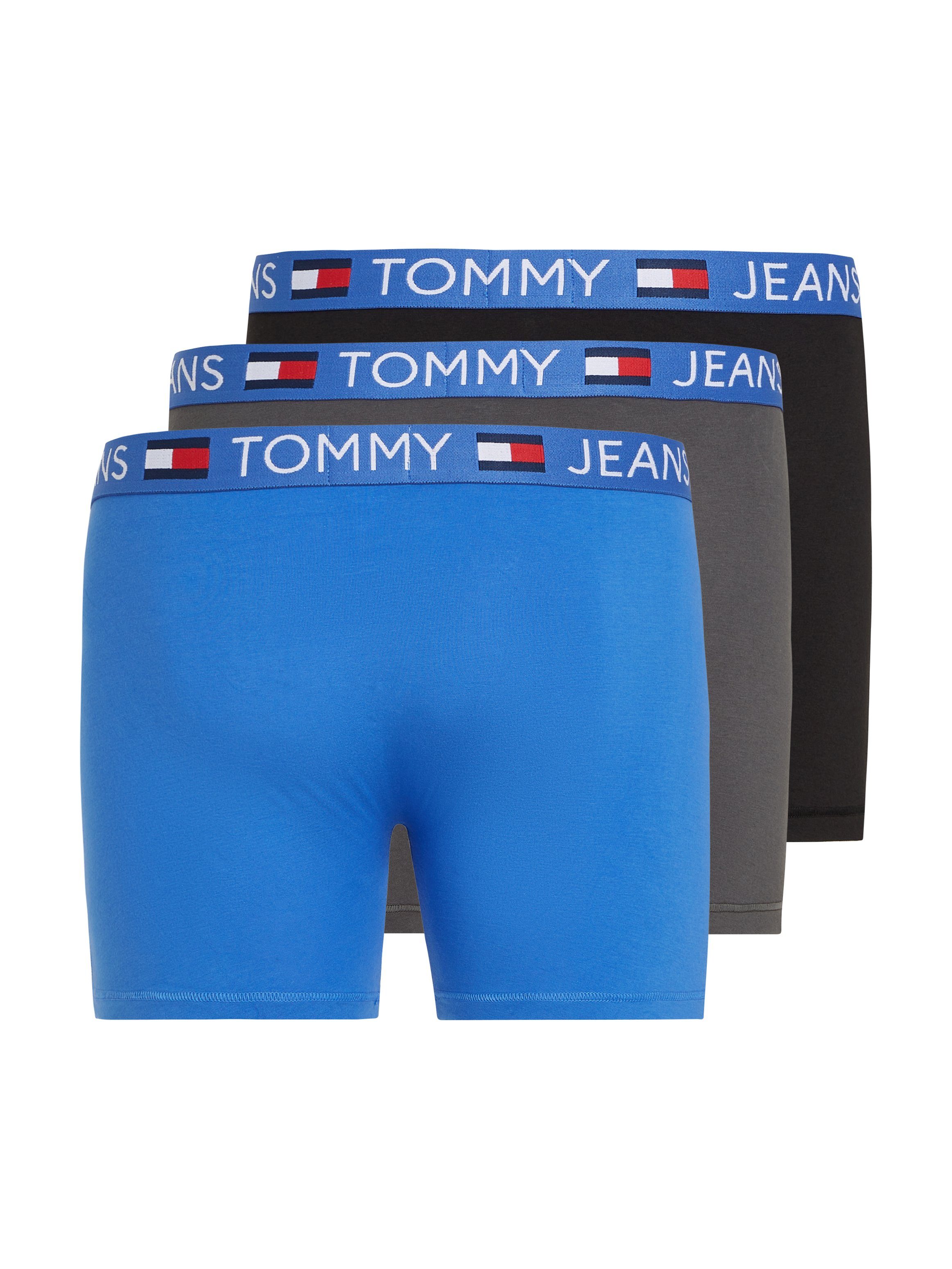 Tommy Hilfiger Underwear Boxershort 3P BOXER BRIEF (Set van 3)