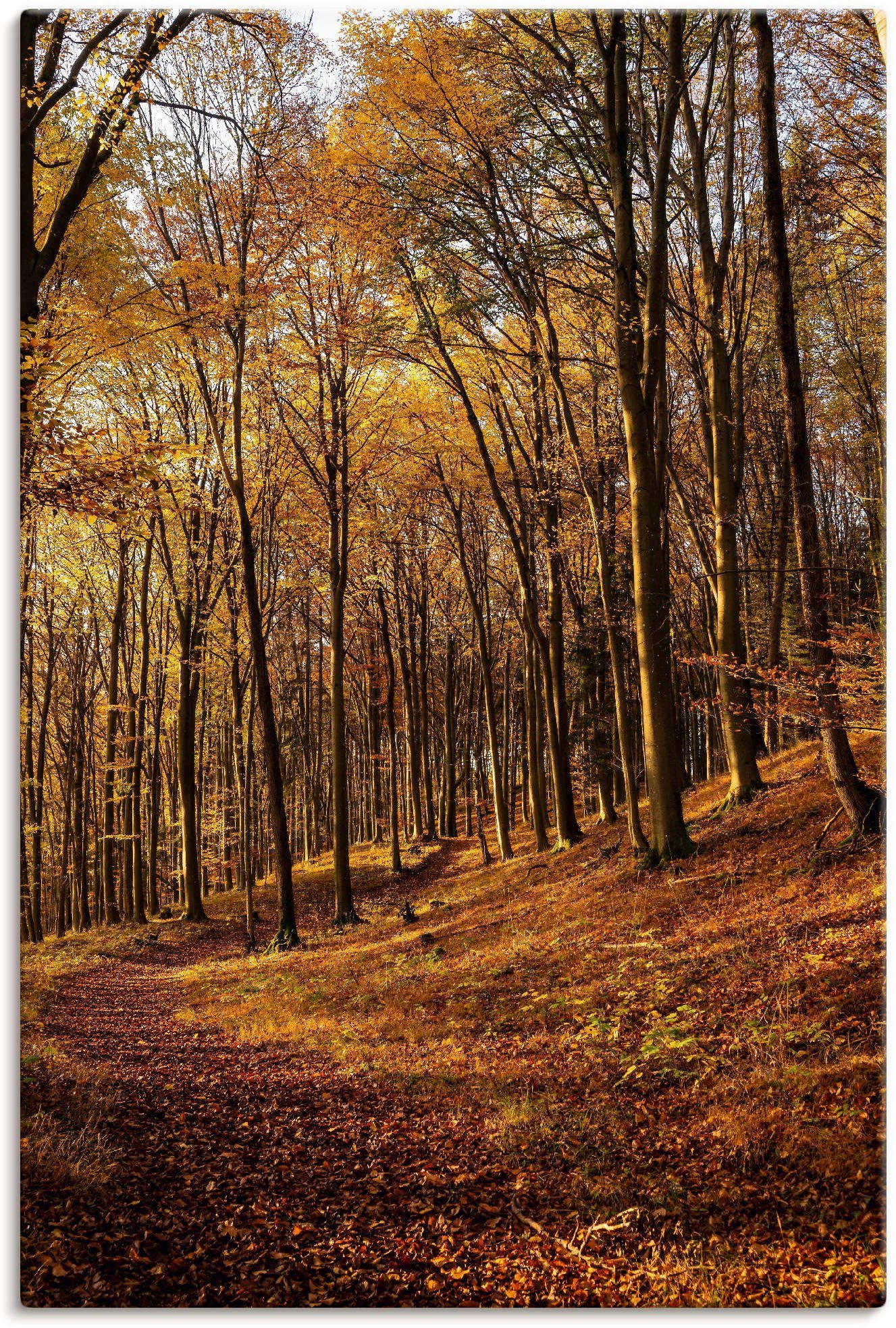 Artland Artprint Schöne Herbstfarben bei Sonnenuntergang in vele afmetingen & productsoorten - artprint van aluminium / artprint voor buiten, artprint op linnen, poster, muursticke