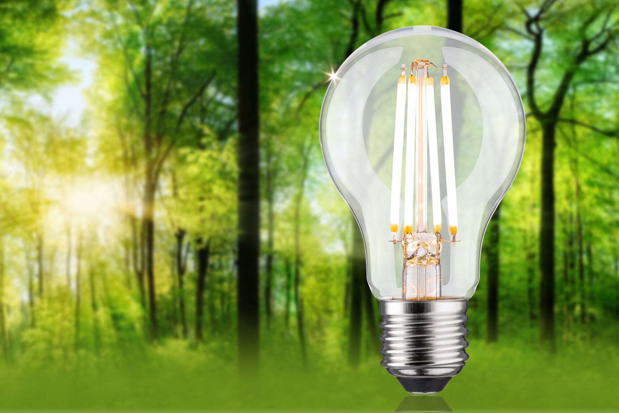Paulmann Led-verlichting Eco-Line filament 230V LED-lamp E27 806lm 4,3W 3000K dimbaar helder