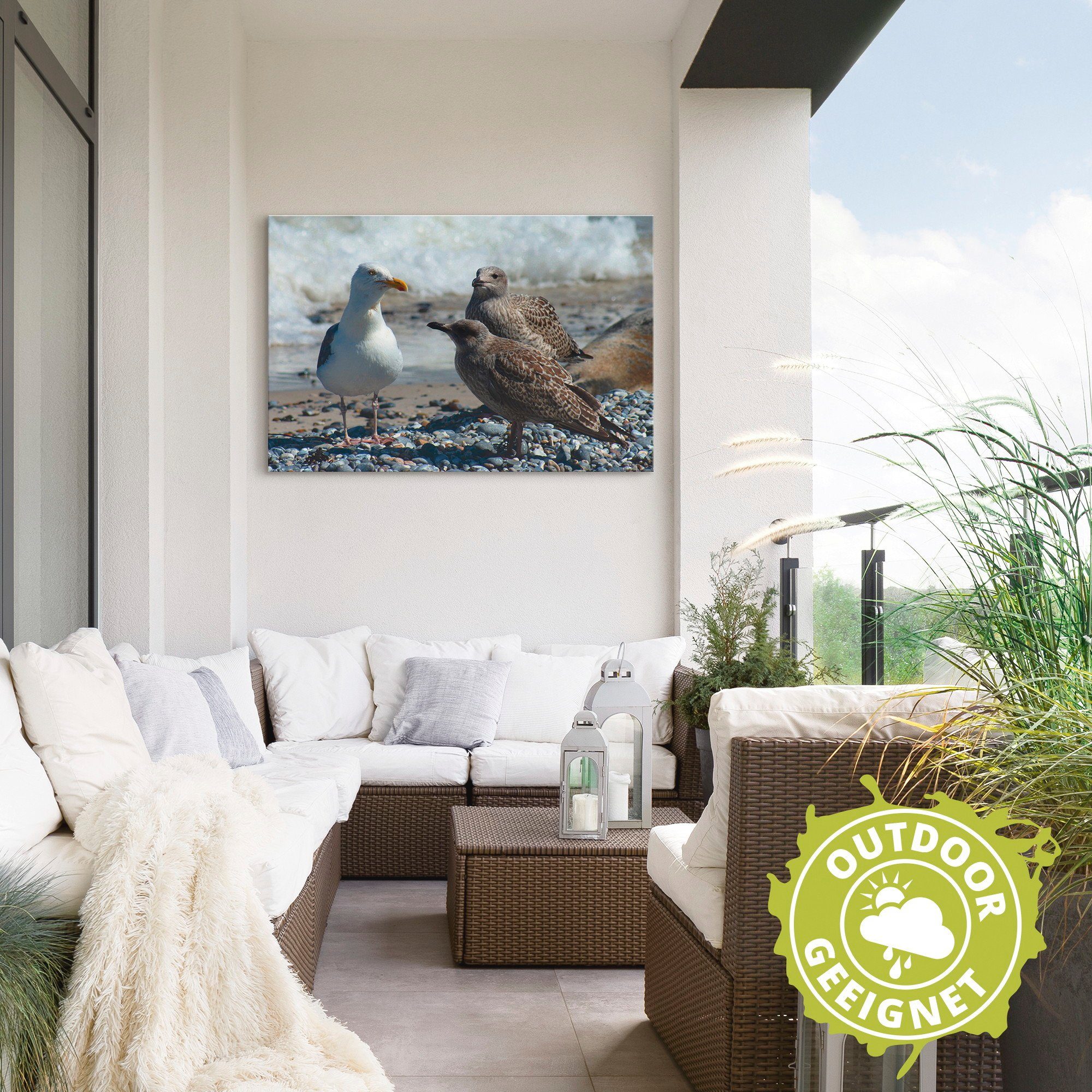 Artland Artprint Meeuwen op het Noordzeestrand als artprint van aluminium, artprint op linnen, muursticker of poster in verschillende maten