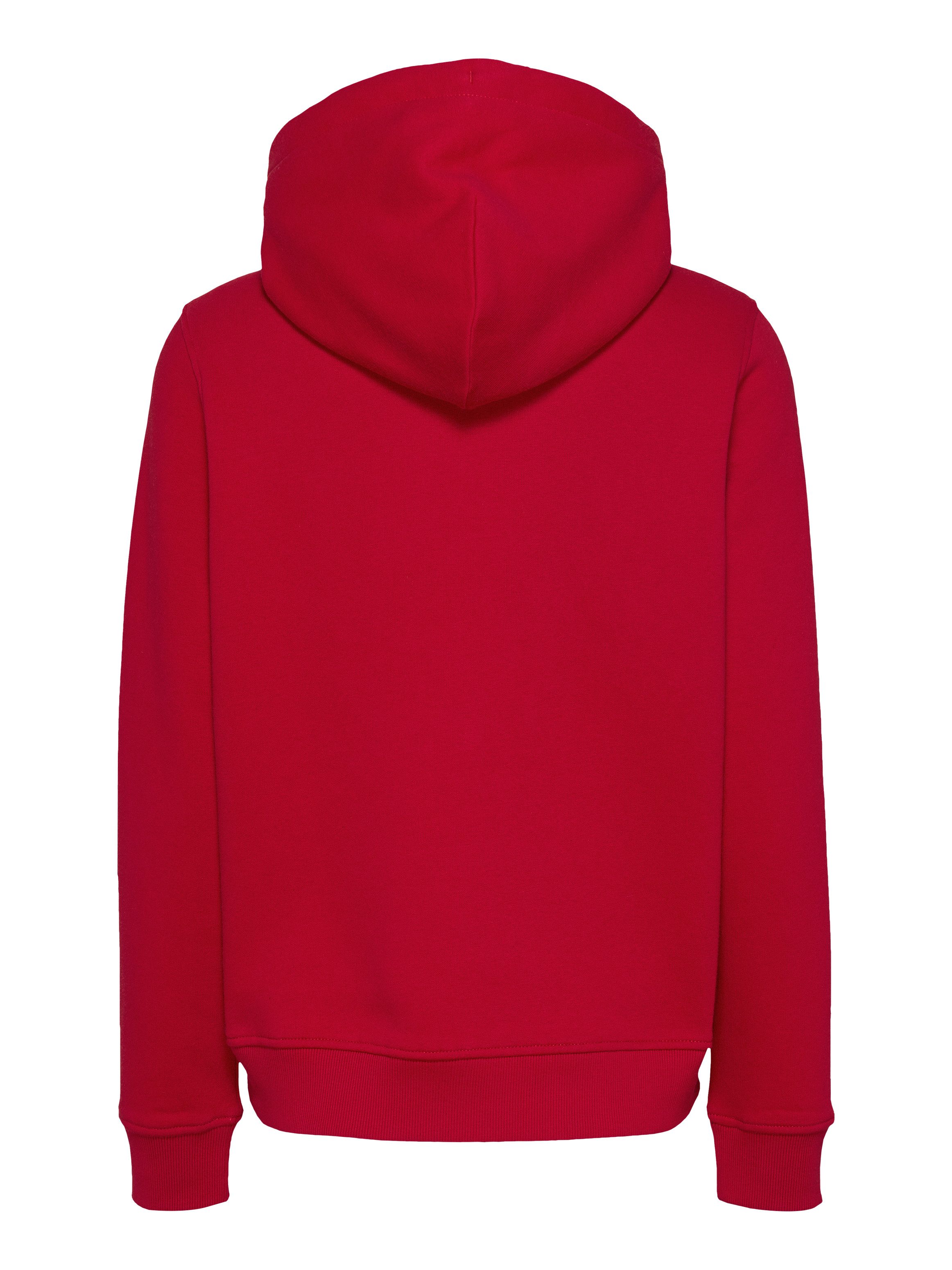 TOMMY JEANS Hoodie TJW REG LINEAR HOODIE met een logo-opschrift