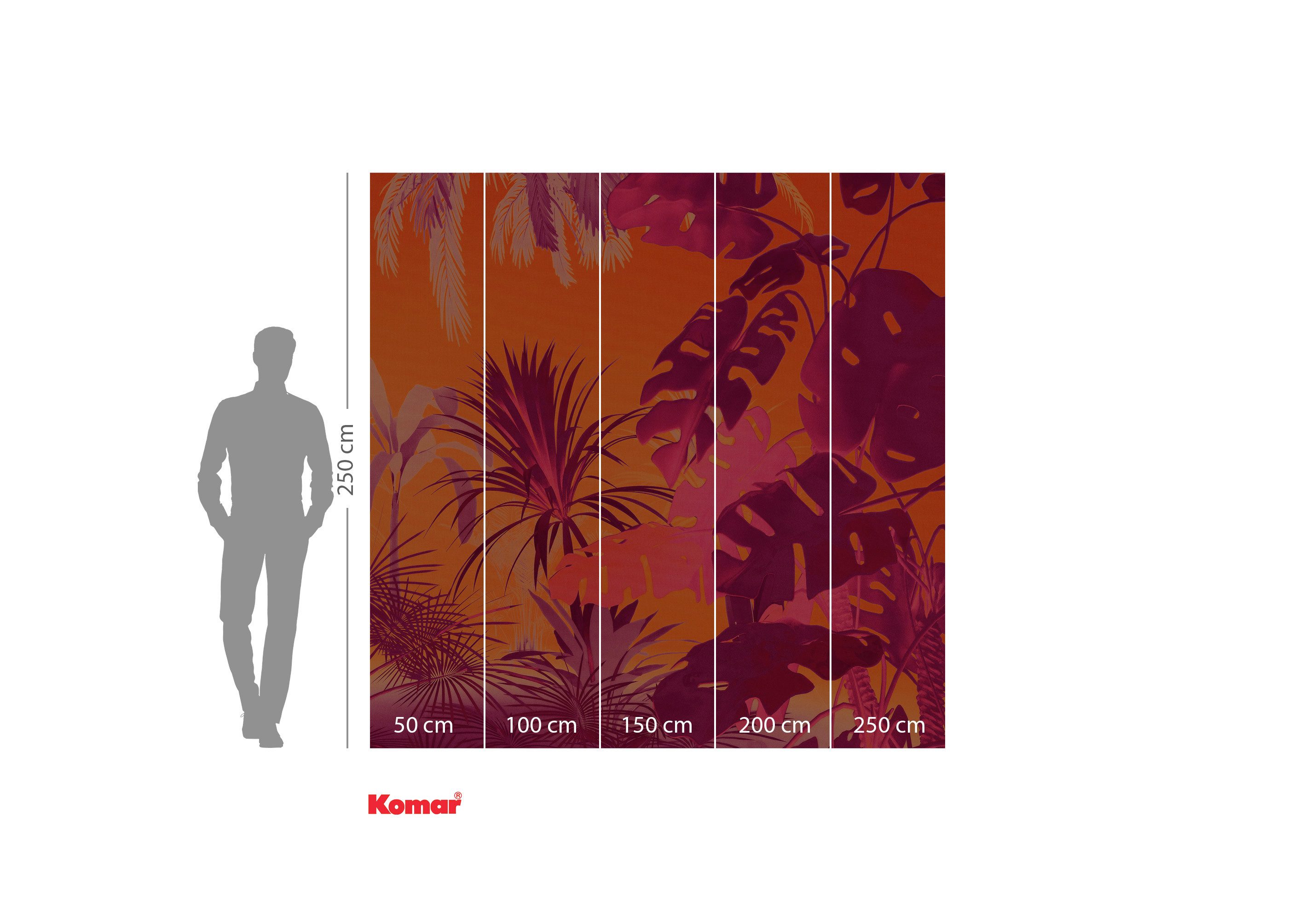 Komar Fotobehang Komar vlies fotobehang - Funky Jungle - maat 250 x 250 cm (set)