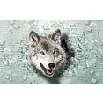 consalnet fotobehang wolf komt uit de wand grijs