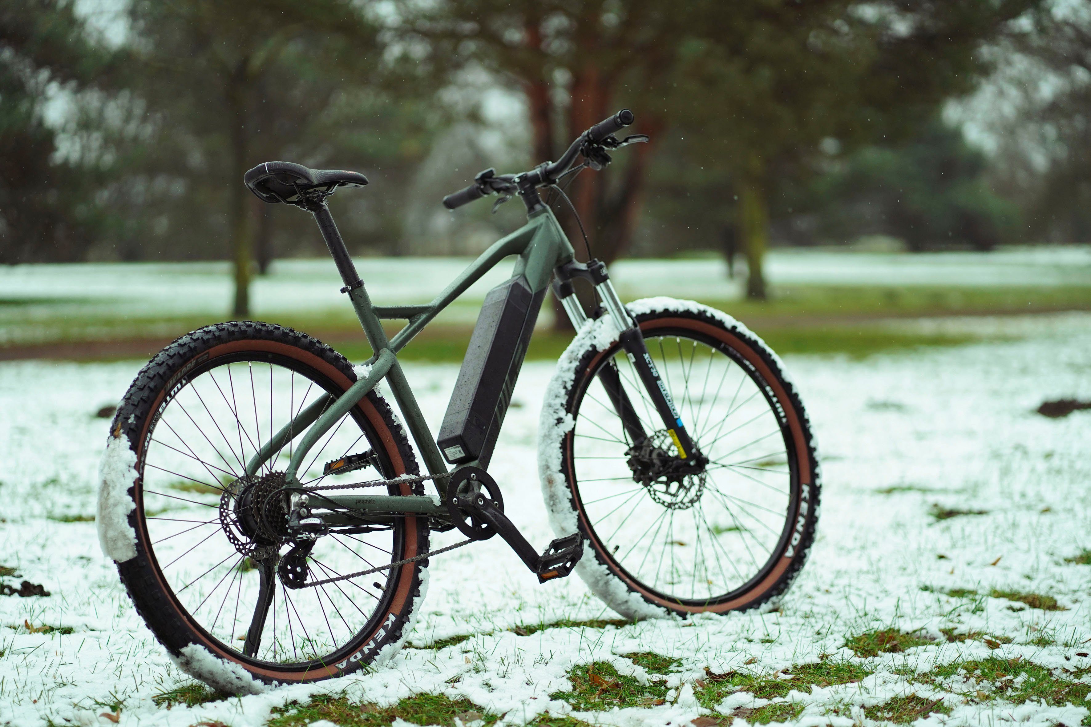 Prophete E-bike DICE 1.0 Pedelec, elektrische fiets voor dames en heren, MTB