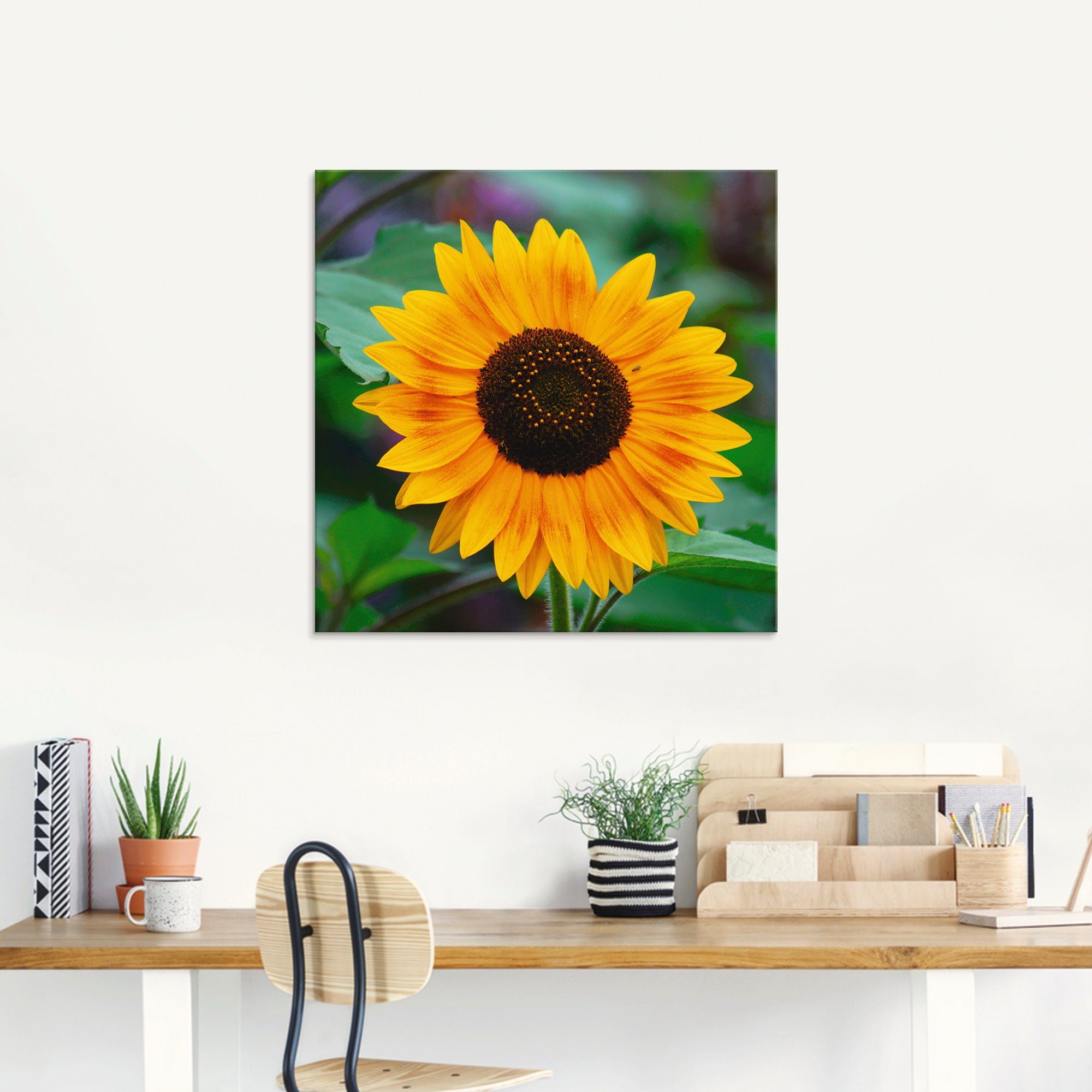 Artland Print op glas Zonnebloem in verschillende maten