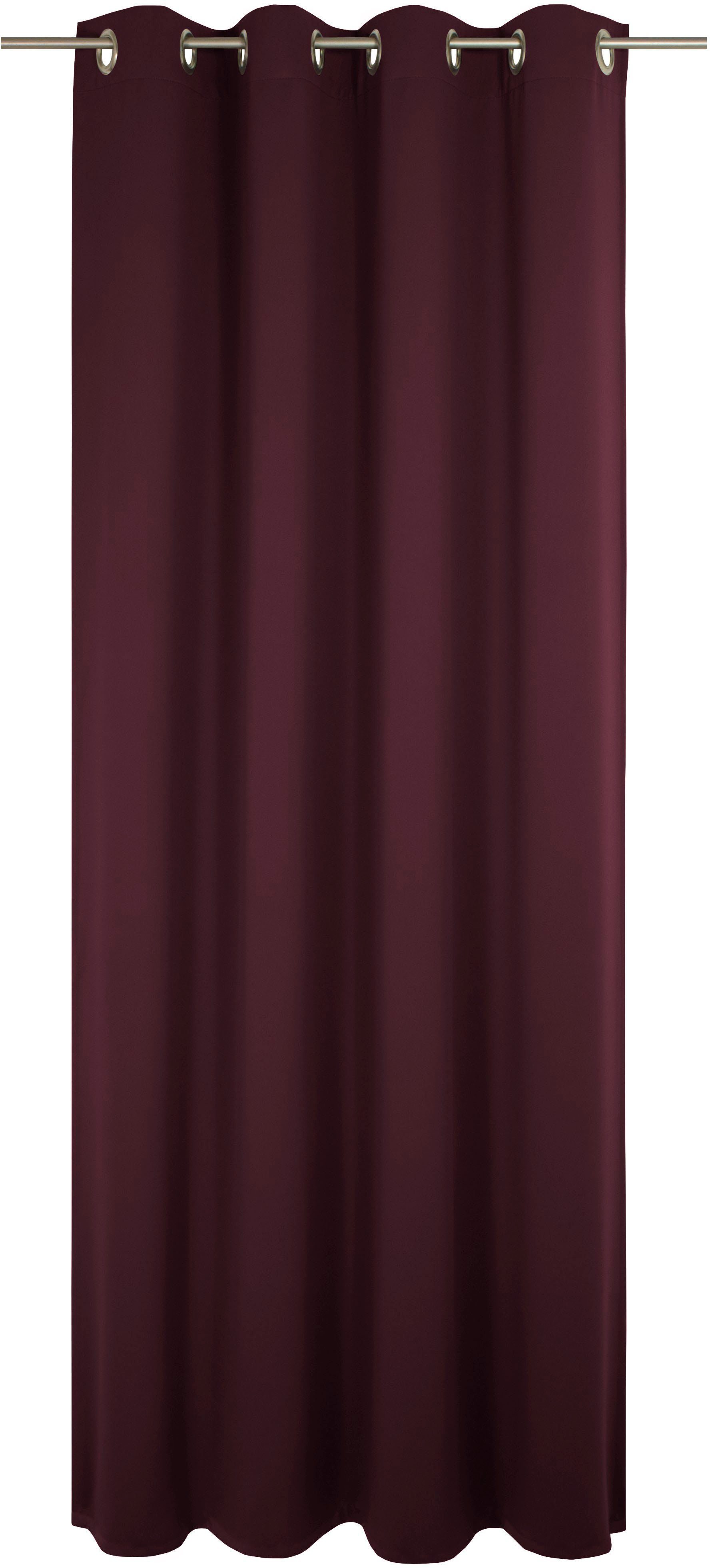 Wirth Gordijn Newbury (1 stuk) kant & klaar gordijnen maat 130 cm x 175 cm paars