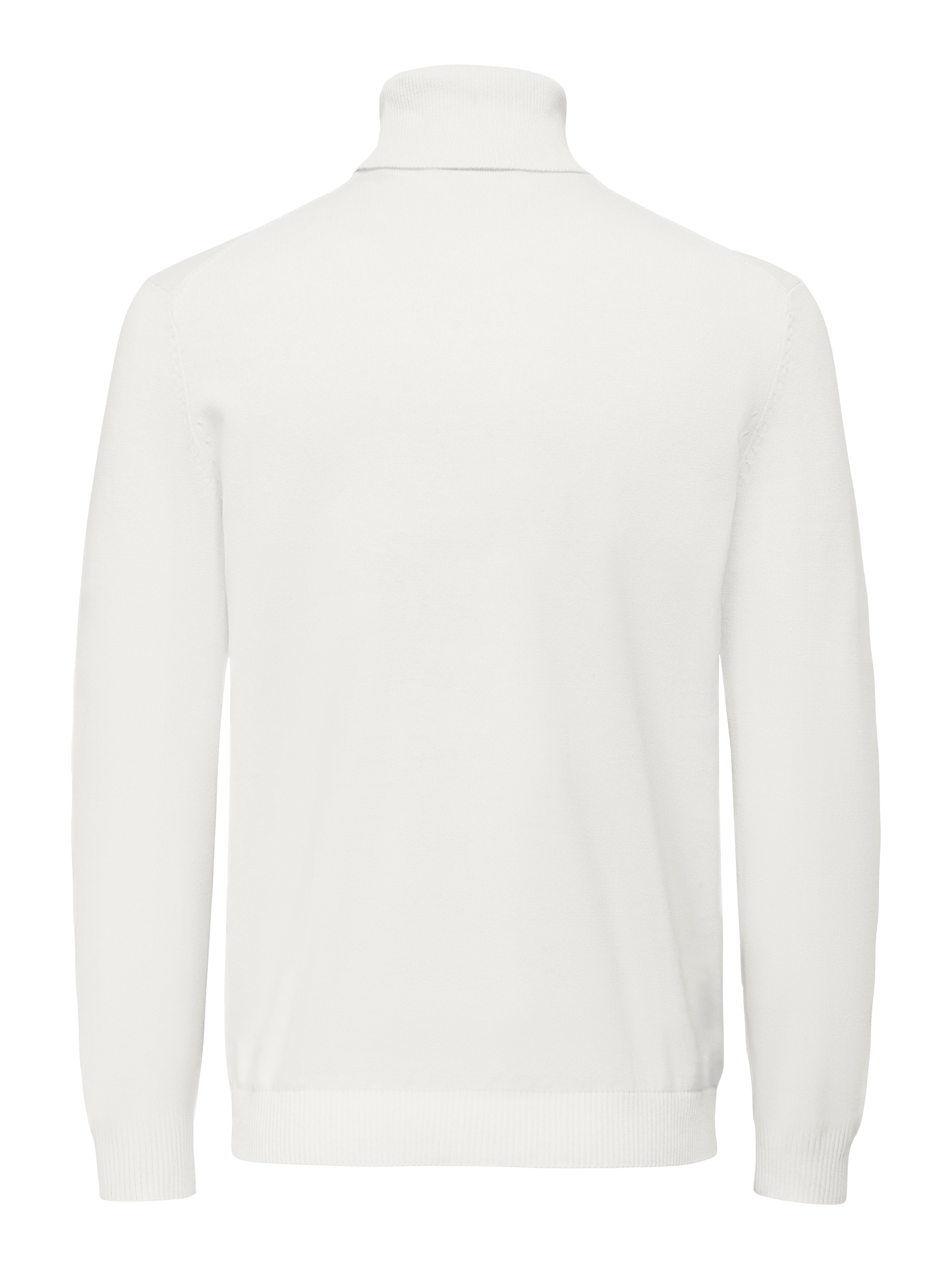 ONLY & SONS Coltrui ONSHOLGER REG ROLL NECK KNIT - OTL