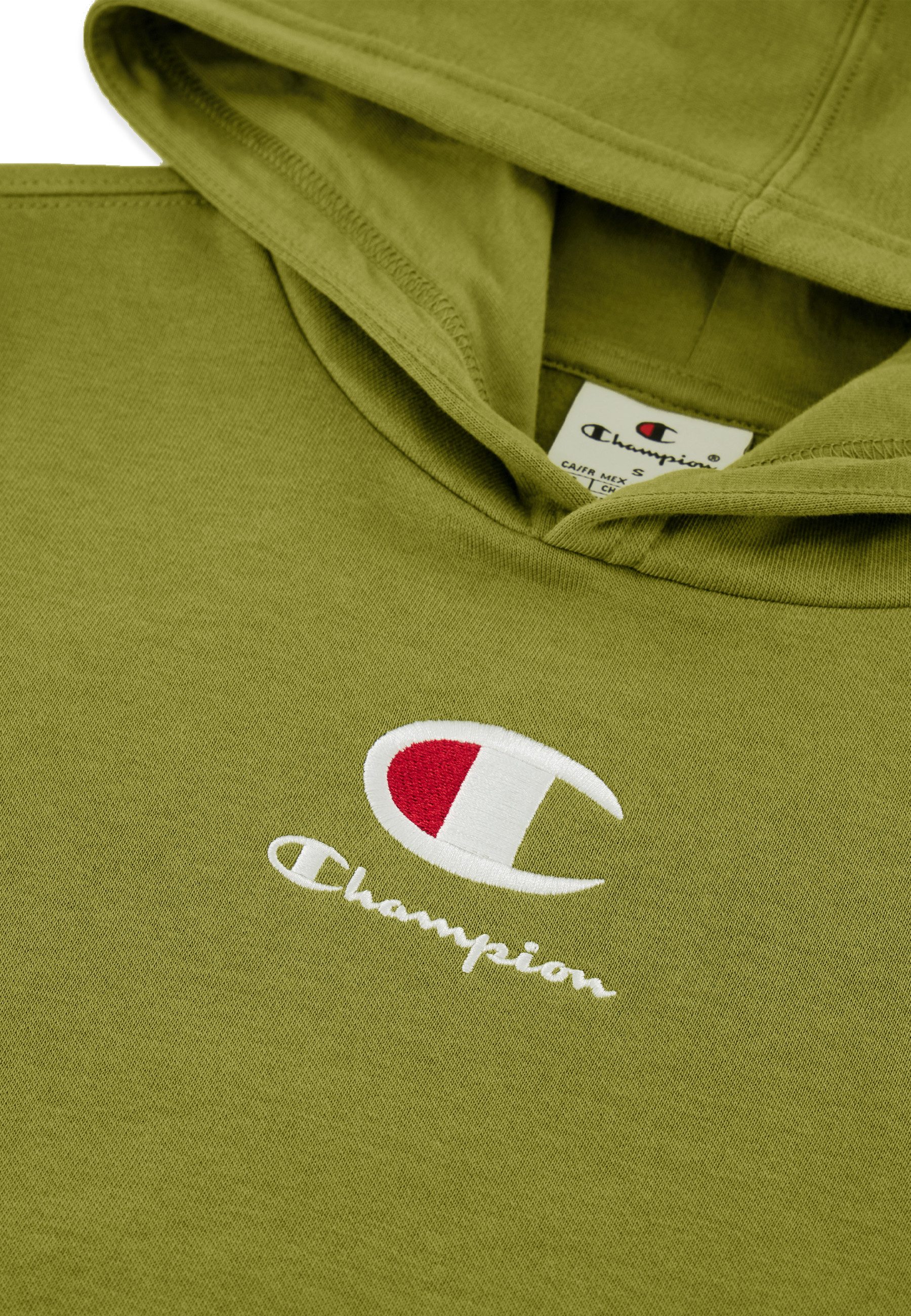 Champion Hoodie HOODED sweatshirt