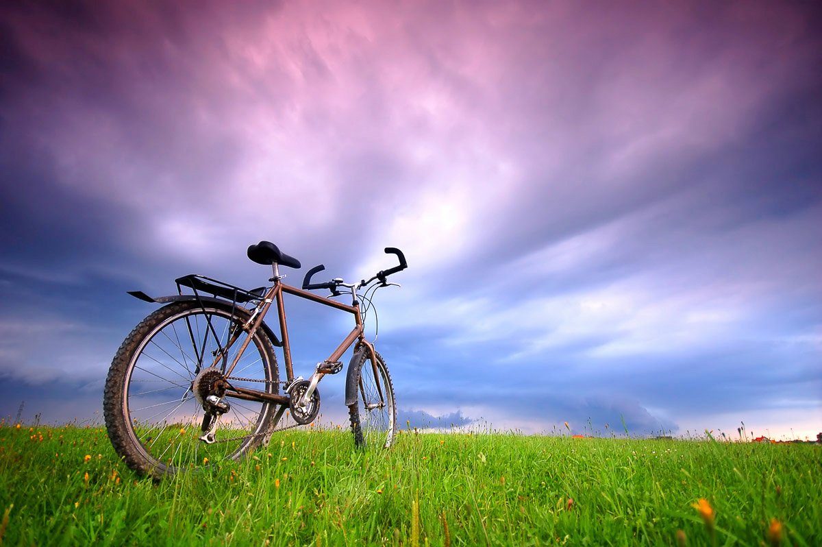 Papermoon Fotobehang Fahrrad in Grünland