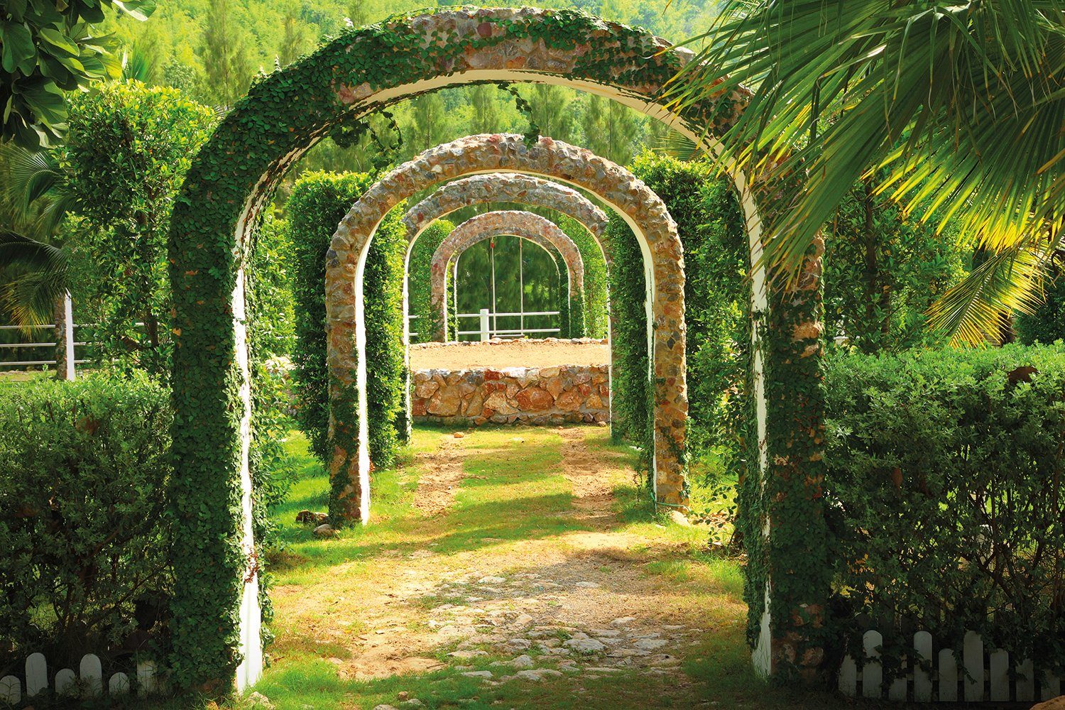 Papermoon Fotobehang Pergola Garden fotobehang multicolor