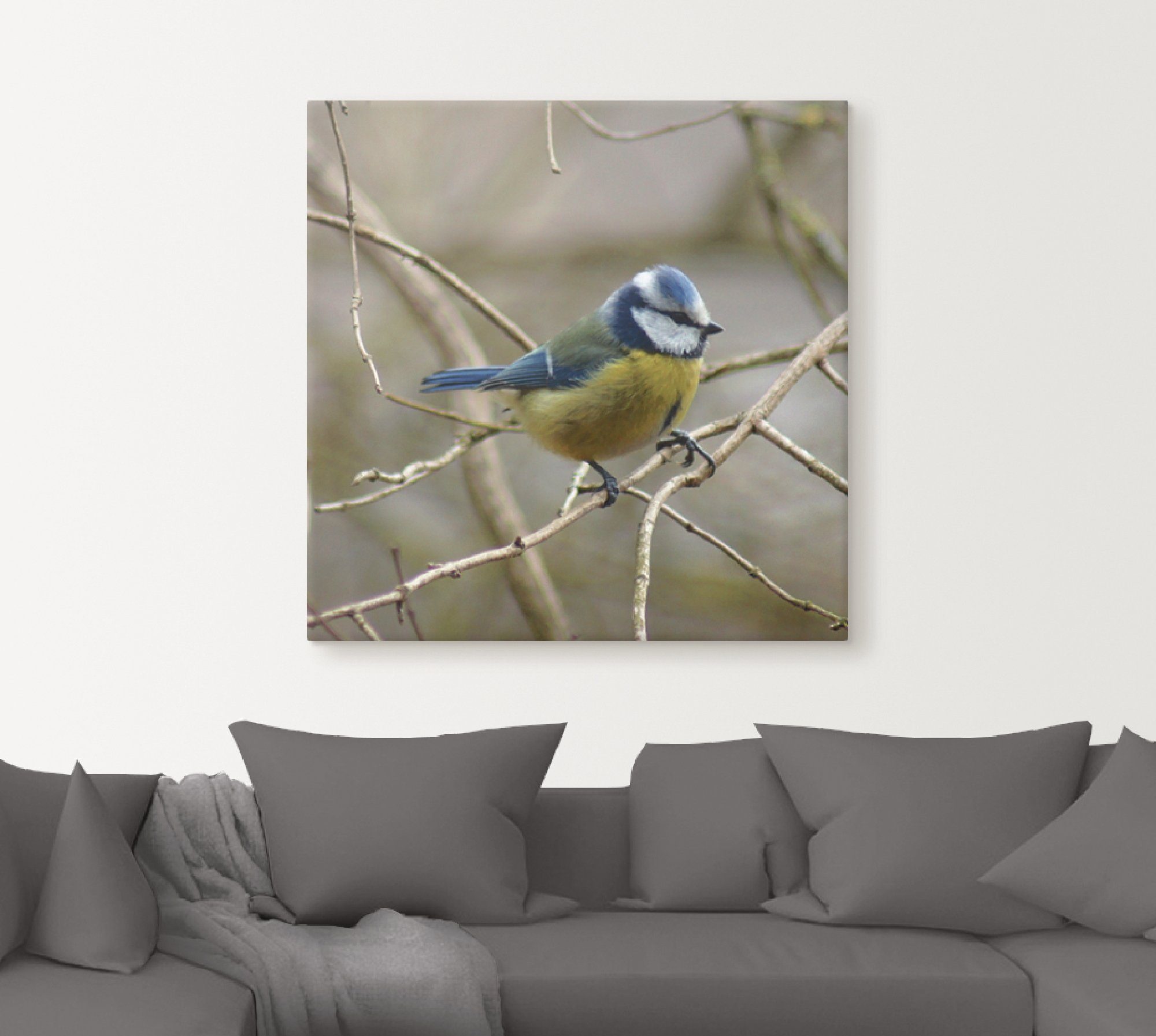 Artland Artprint Pimpelmees als artprint op linnen, muursticker in verschillende maten
