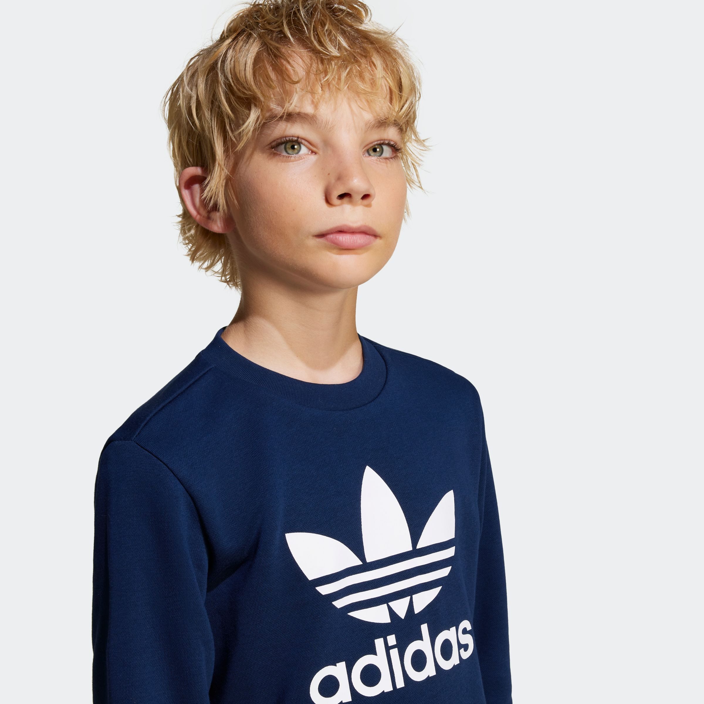 adidas Originals Sweatshirt TREFOIL CREW