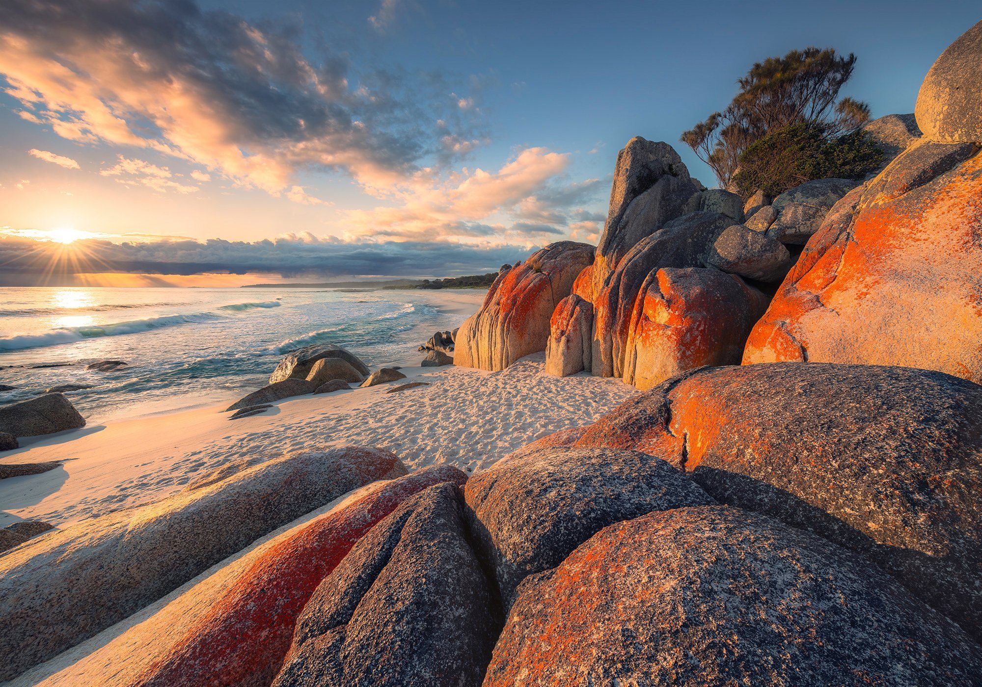 Komar fotobehang Bay of Fires