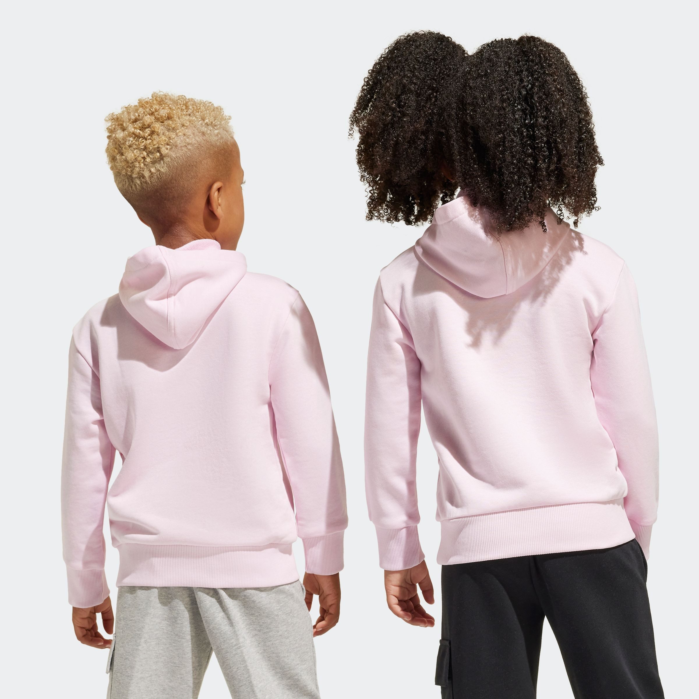adidas Sportswear Hoodie LK BL FT HD