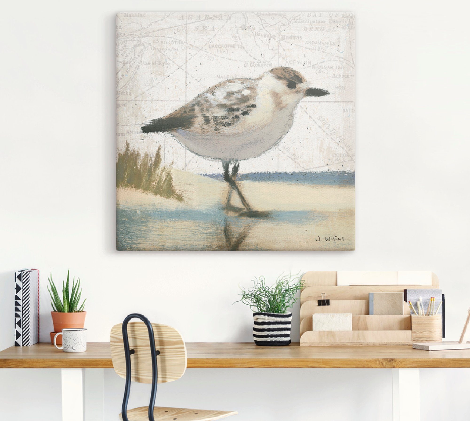 Artland Artprint Meeuw I als artprint op linnen, muursticker in verschillende maten