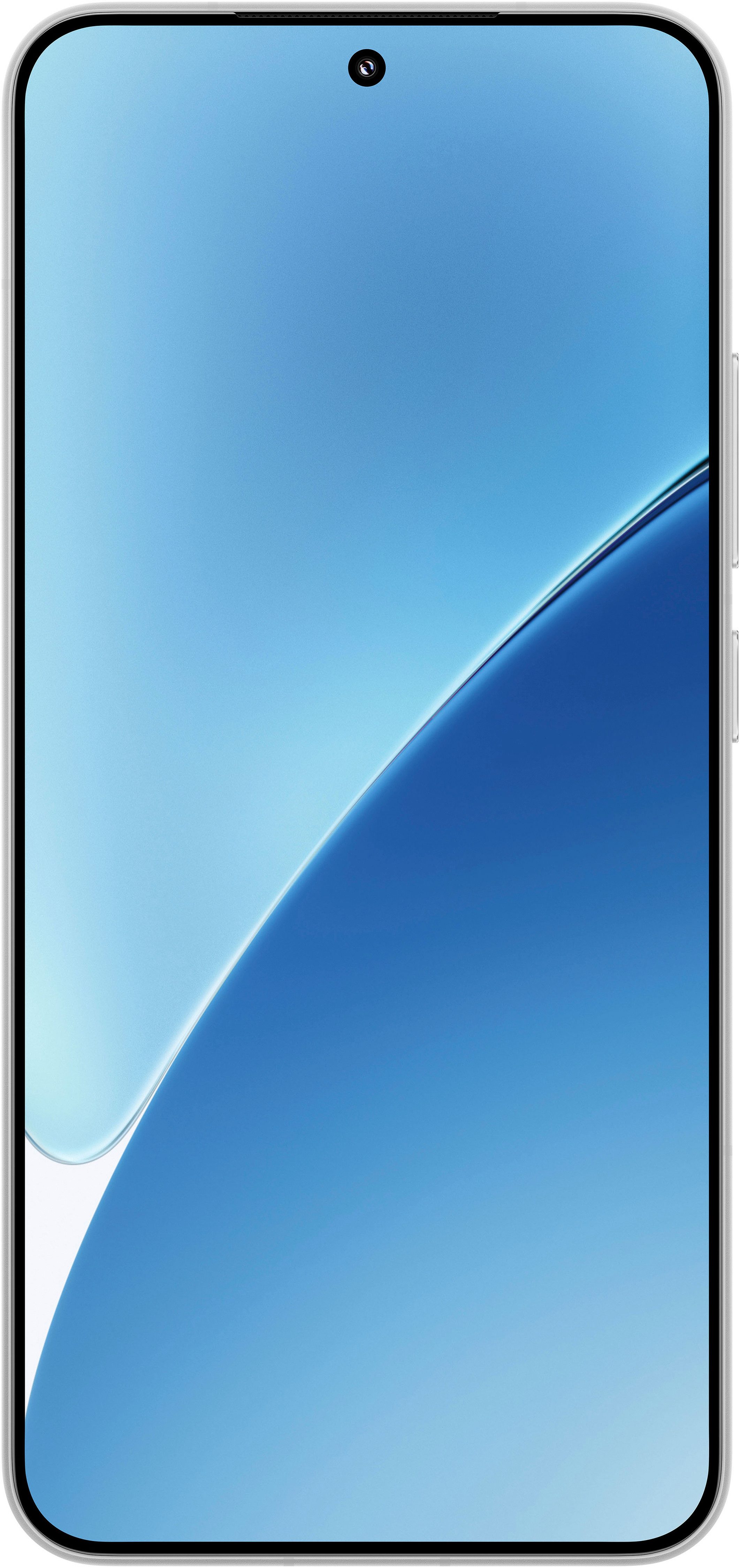 Xiaomi Smartphone 15 12+512GB