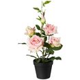 creativ green kunstplant rozenstruik in de pot (1 stuk) roze