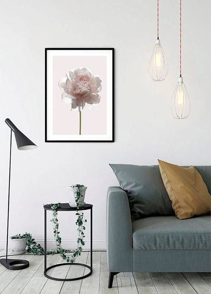 Komar Wanddecoratie Rosé Wanddecoratie - zonder lijst (1 stuk)