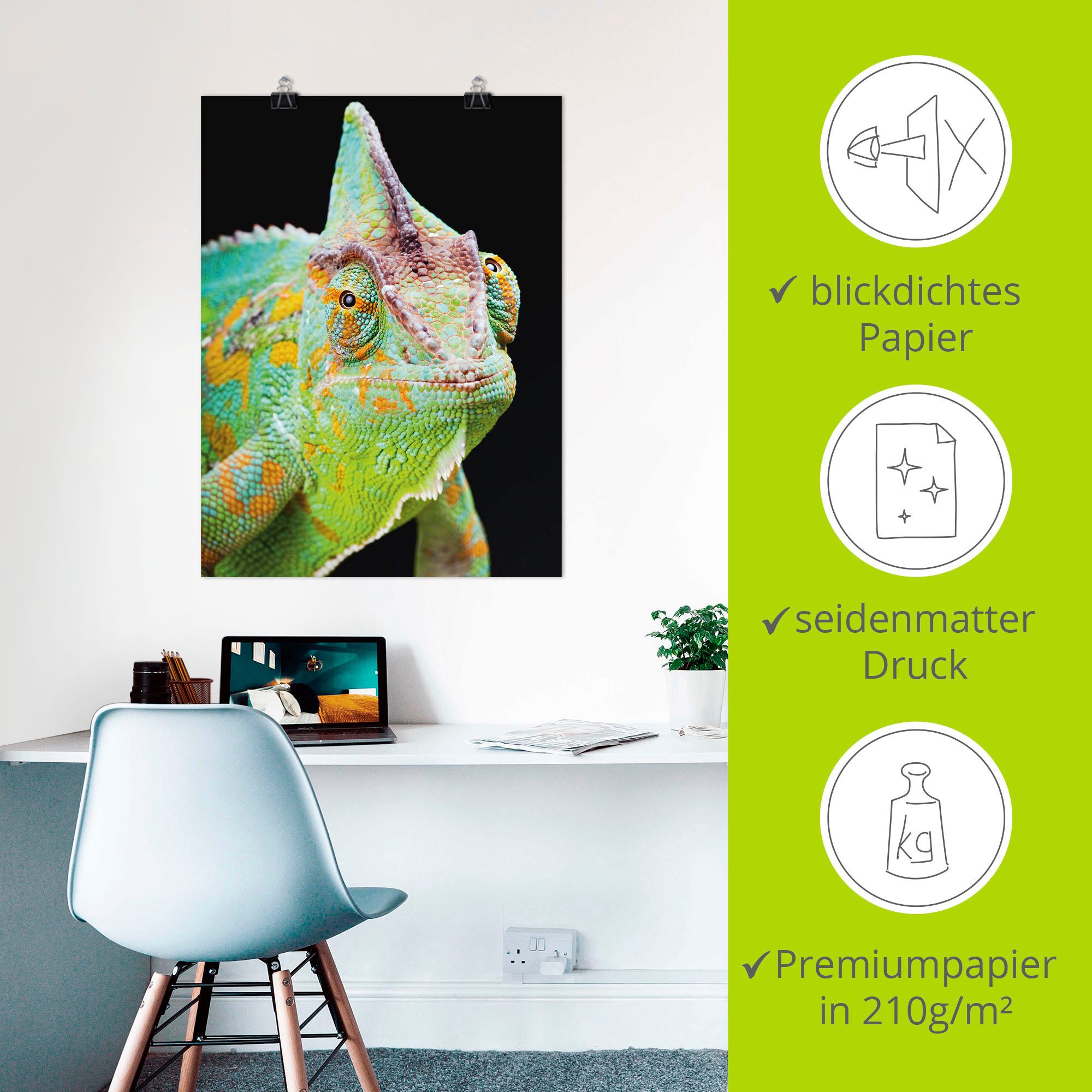 Artland Artprint Yemen kameleon als artprint van aluminium, artprint voor buiten, poster, muursticker in diverse maten formaten