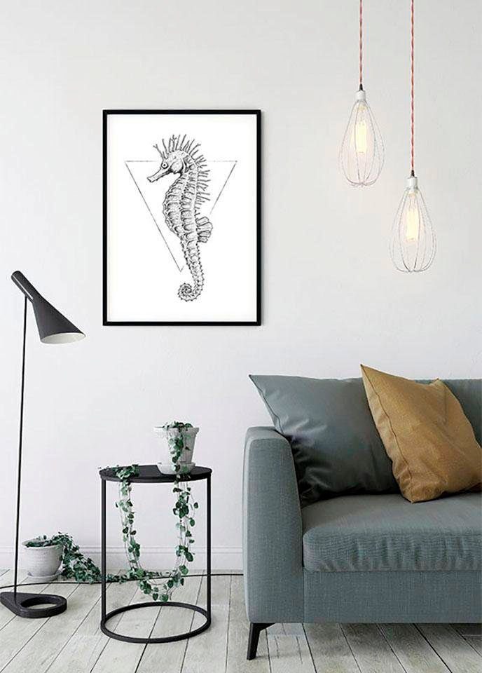 Komar Wanddecoratie Sea Horse white Wanddecoratie - zonder lijst (1 stuk)