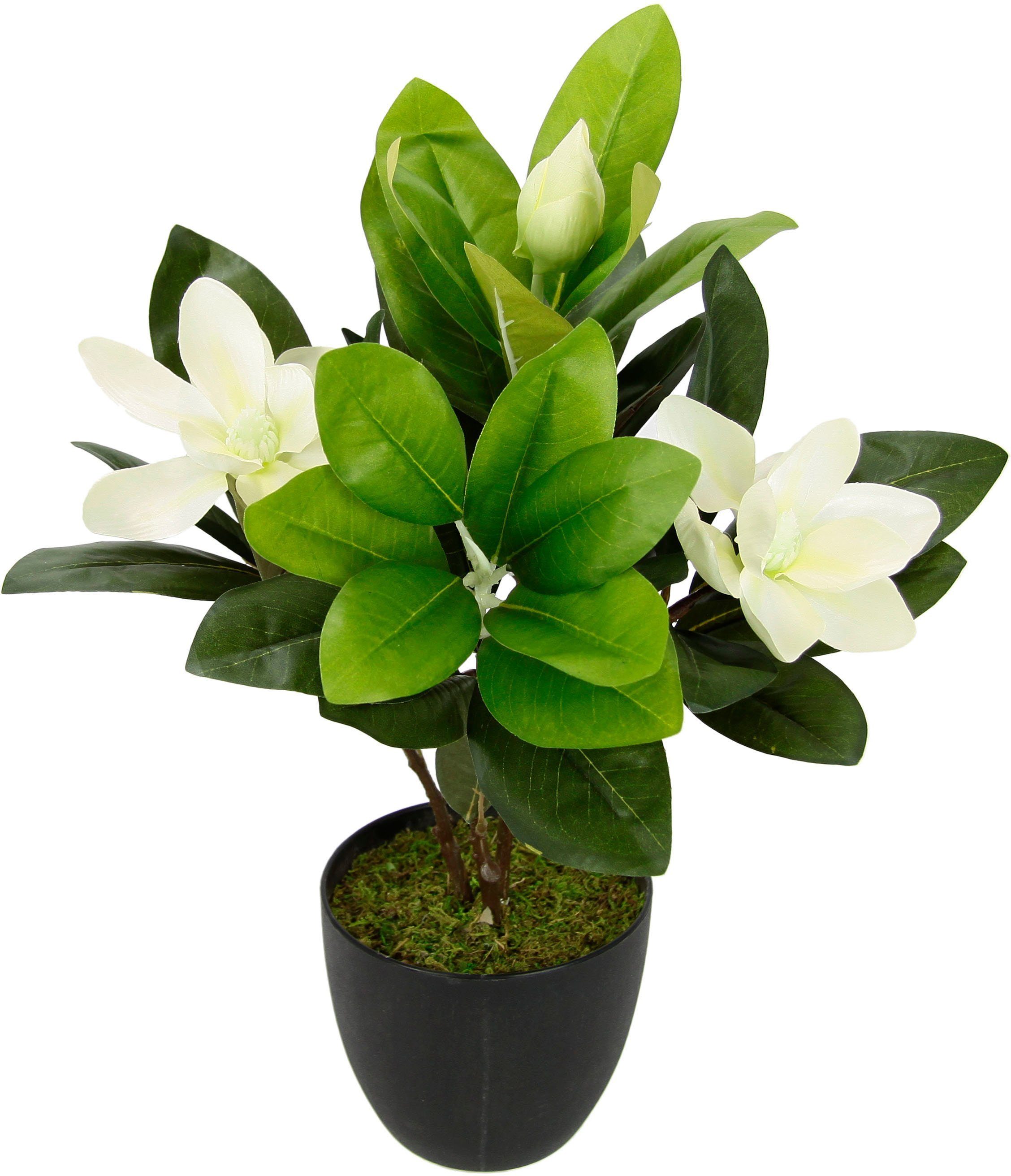 I.GE.A. Kunstbloem MAGNOLIE In pot magnolia struik kunstmatig lente zijdenbloemen kamerdecoratie