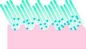 Janastyle Wasband Micro-peeling rugreiniger voor stralend frisse huid stimuleert de bloedsomloop, verzacht en reinigt diep in de poriën (1 stuk)