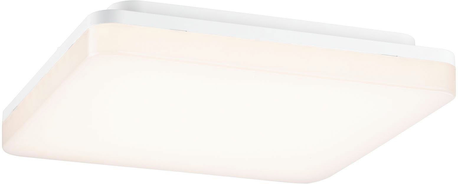 Paulmann Led-plafondlamp Cela (1 stuk)