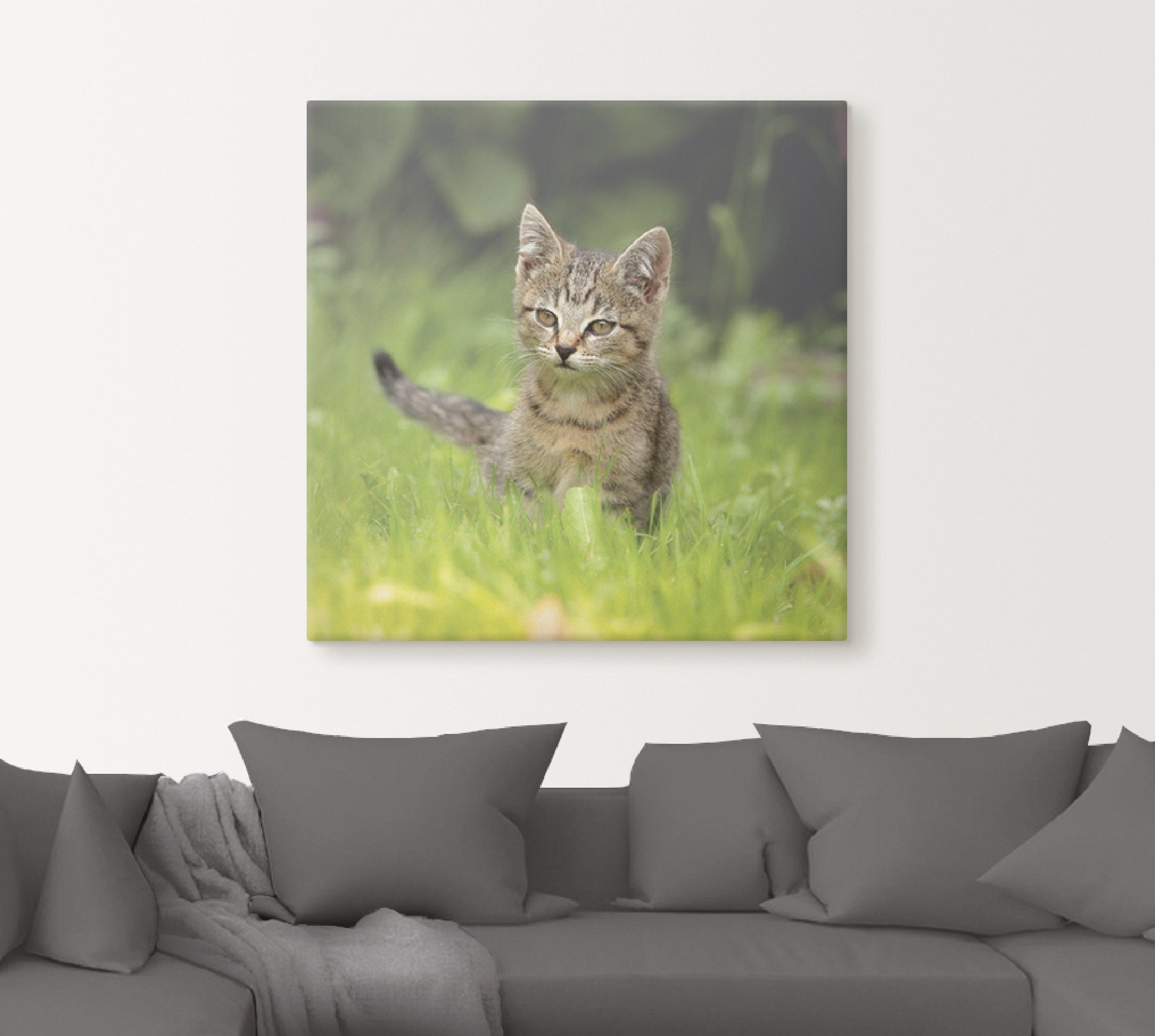 Artland Artprint Kleine tijger in het gras als artprint op linnen, muursticker of poster in verschillende maten