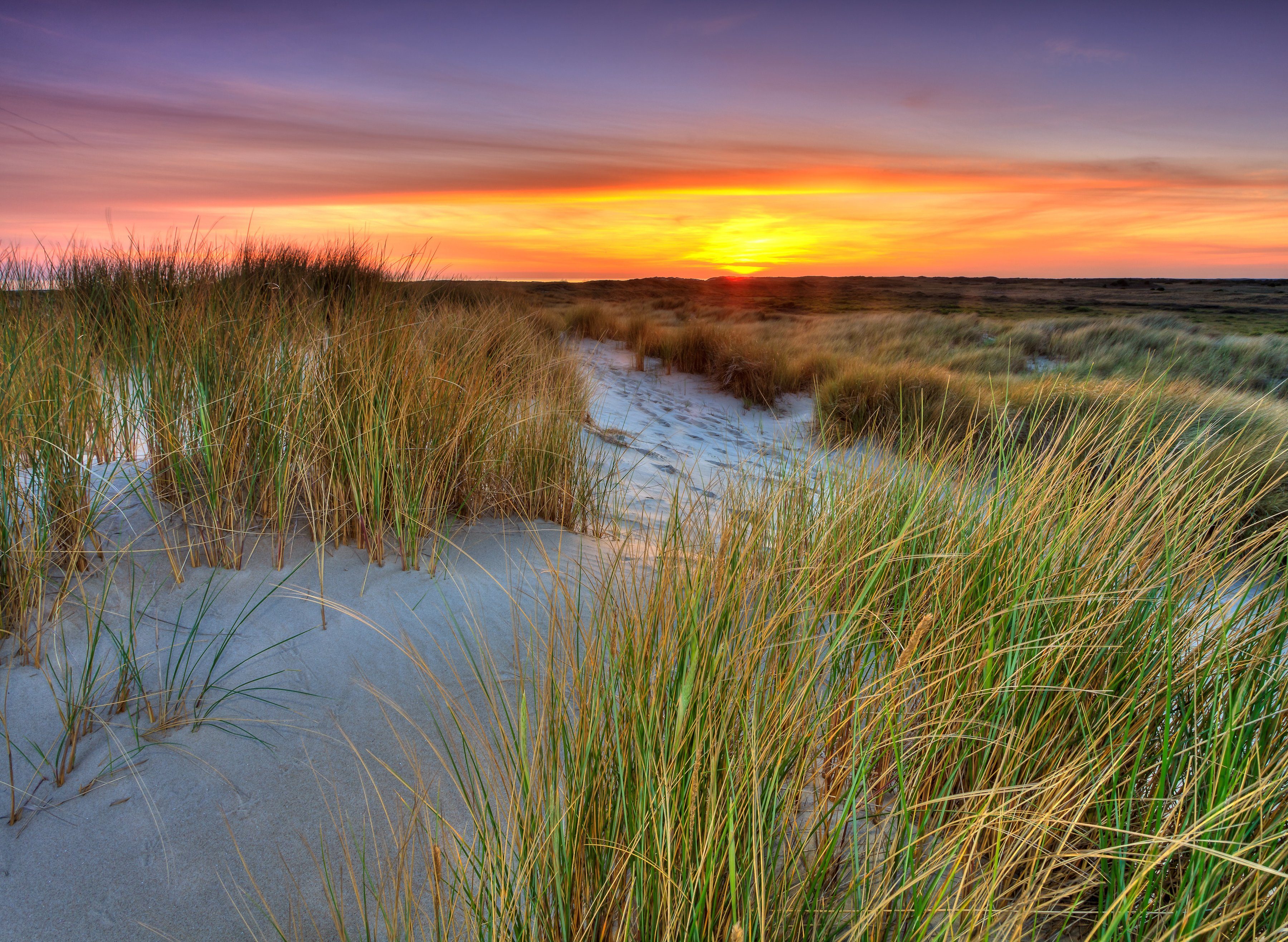 Papermoon Fotobehang Dunes Sunset