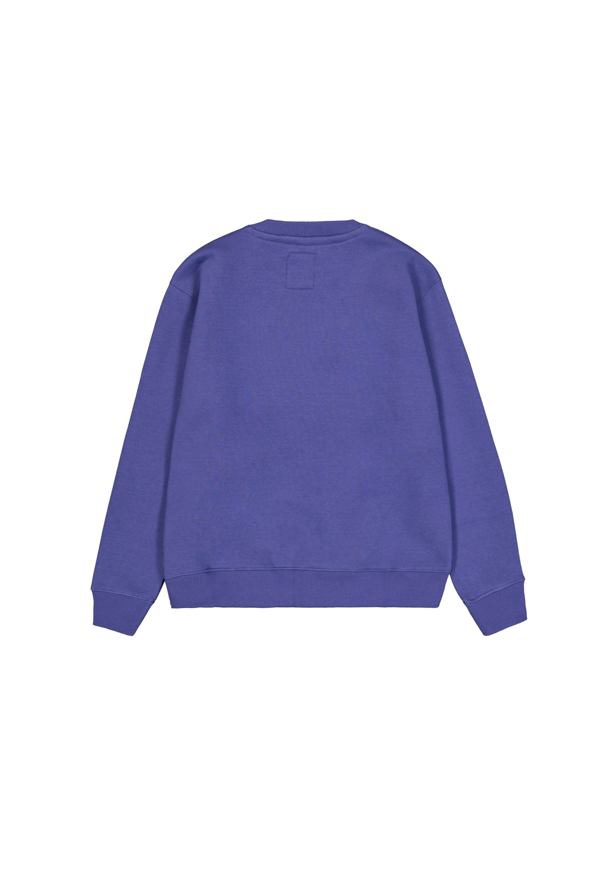 Alpha Industries Sweater Alpha Industries Men - Sweatshirts Basic Sweatshirt SL