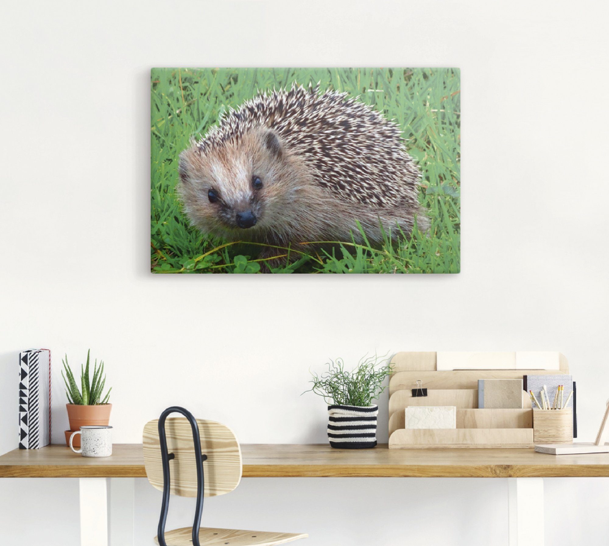 Artland Artprint op linnen Egel blik gespannen op een spieraam
