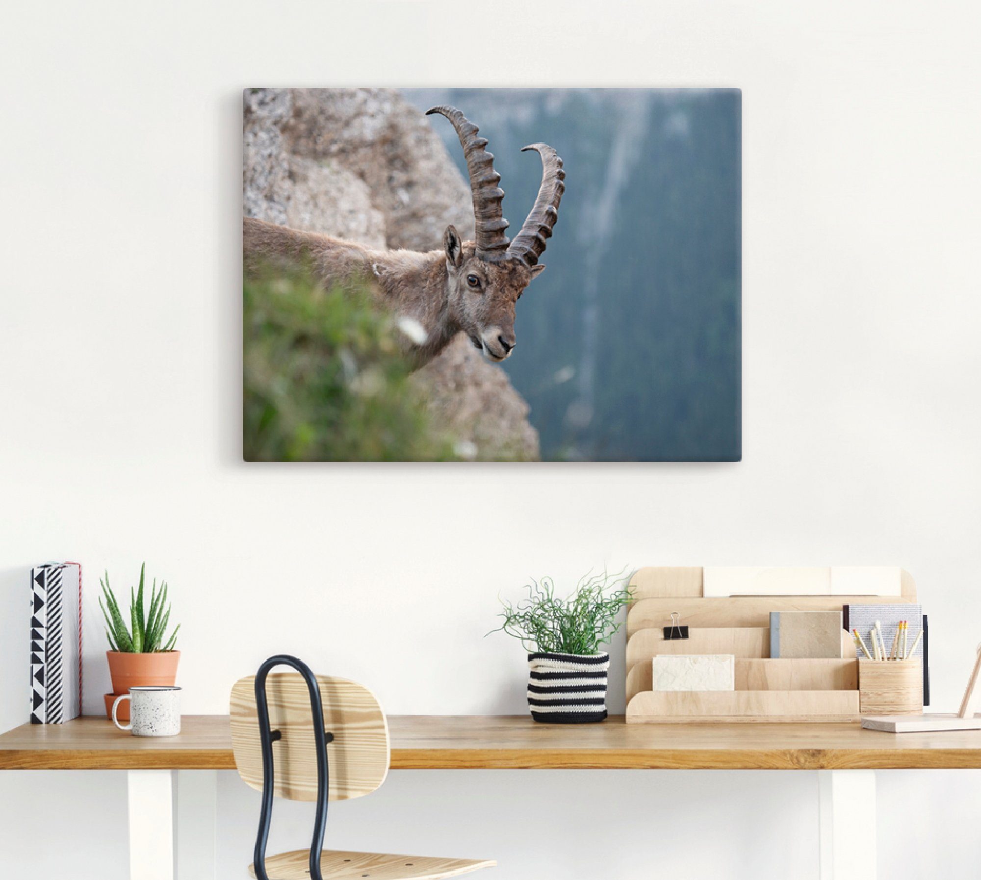 Artland Artprint op linnen Steenbok gespannen op een spieraam