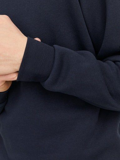 Jack & Jones Sweatshirt JJEBRADLEY SWEAT CREW NOOS