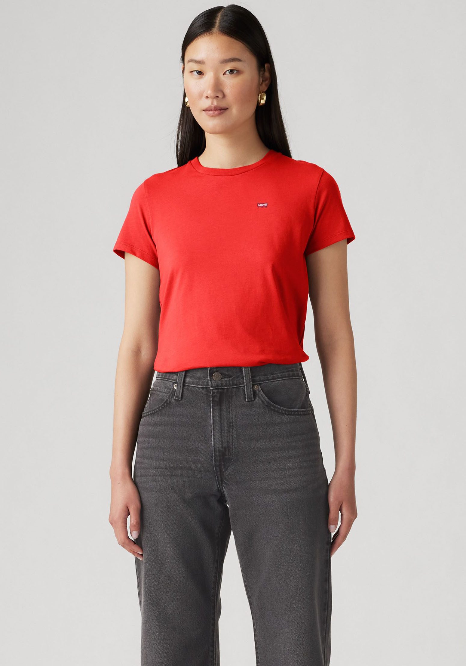 Levi's® T-shirt Mini-Logo met klein logoborduursel op borsthoogte (2-delig, Set van 2)