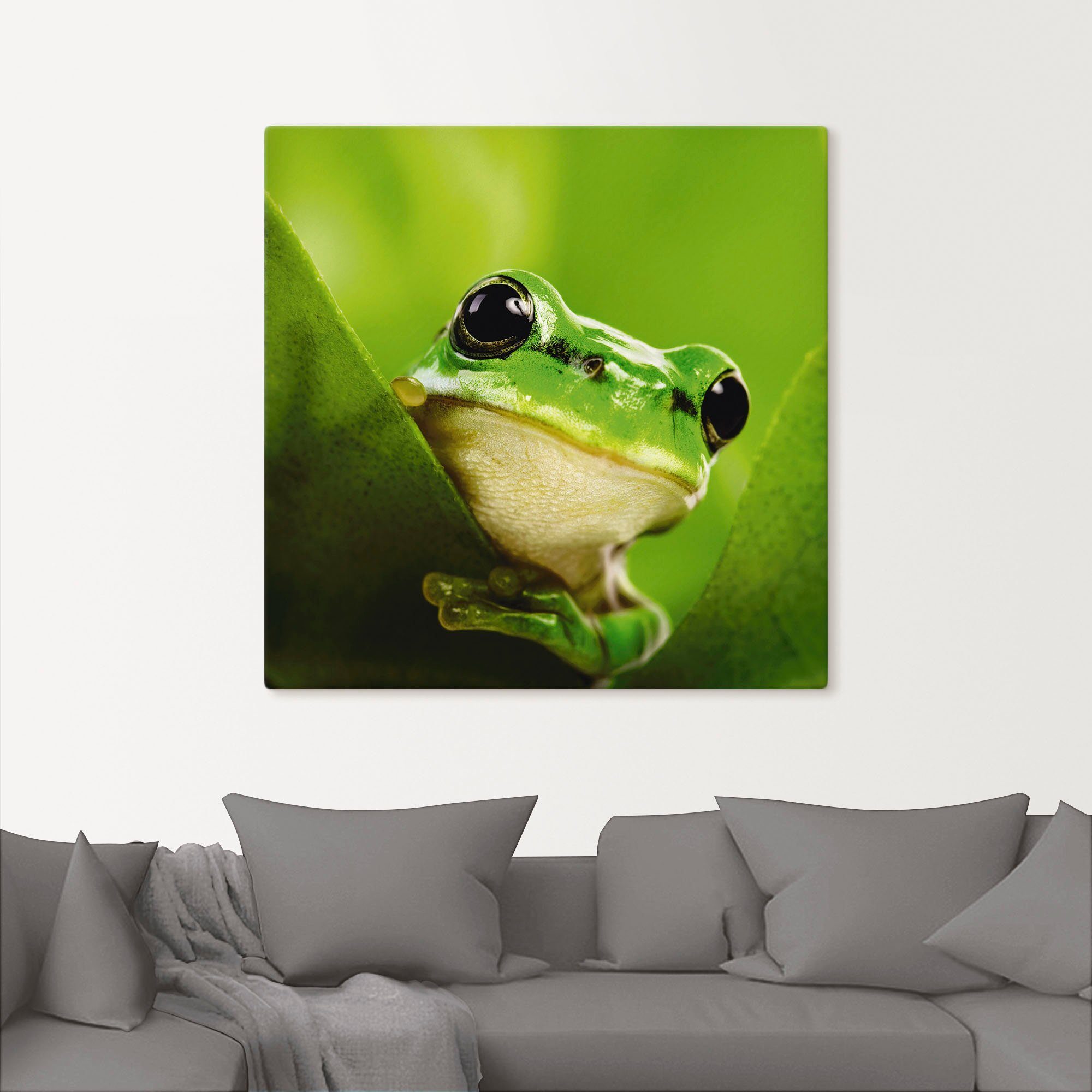 Artland Artprint Kijkende kikker als artprint op linnen, poster in verschillende formaten maten