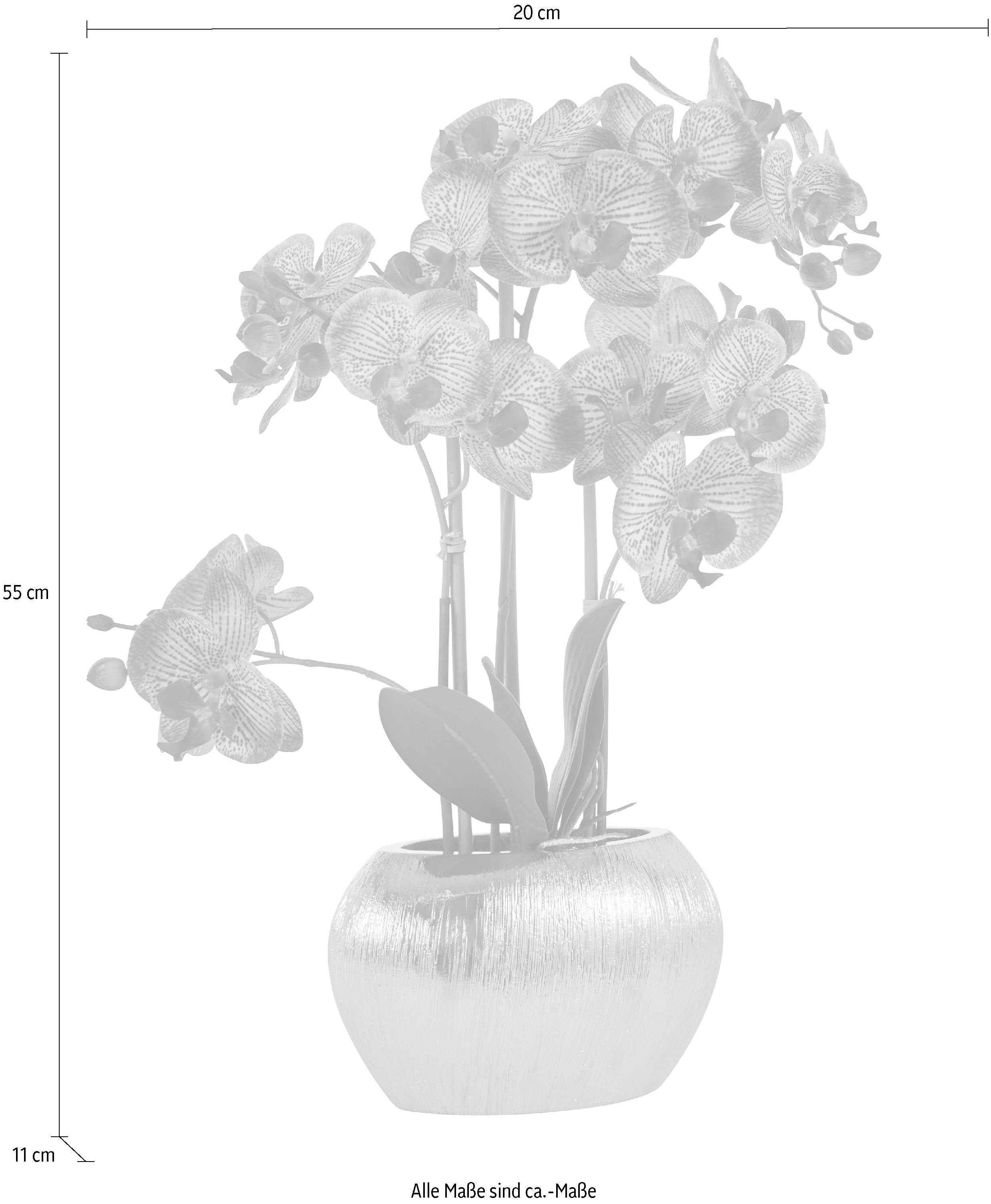 Home affaire Kunstplant Orchidee Kunstorchidee, in een pot (1 stuk)