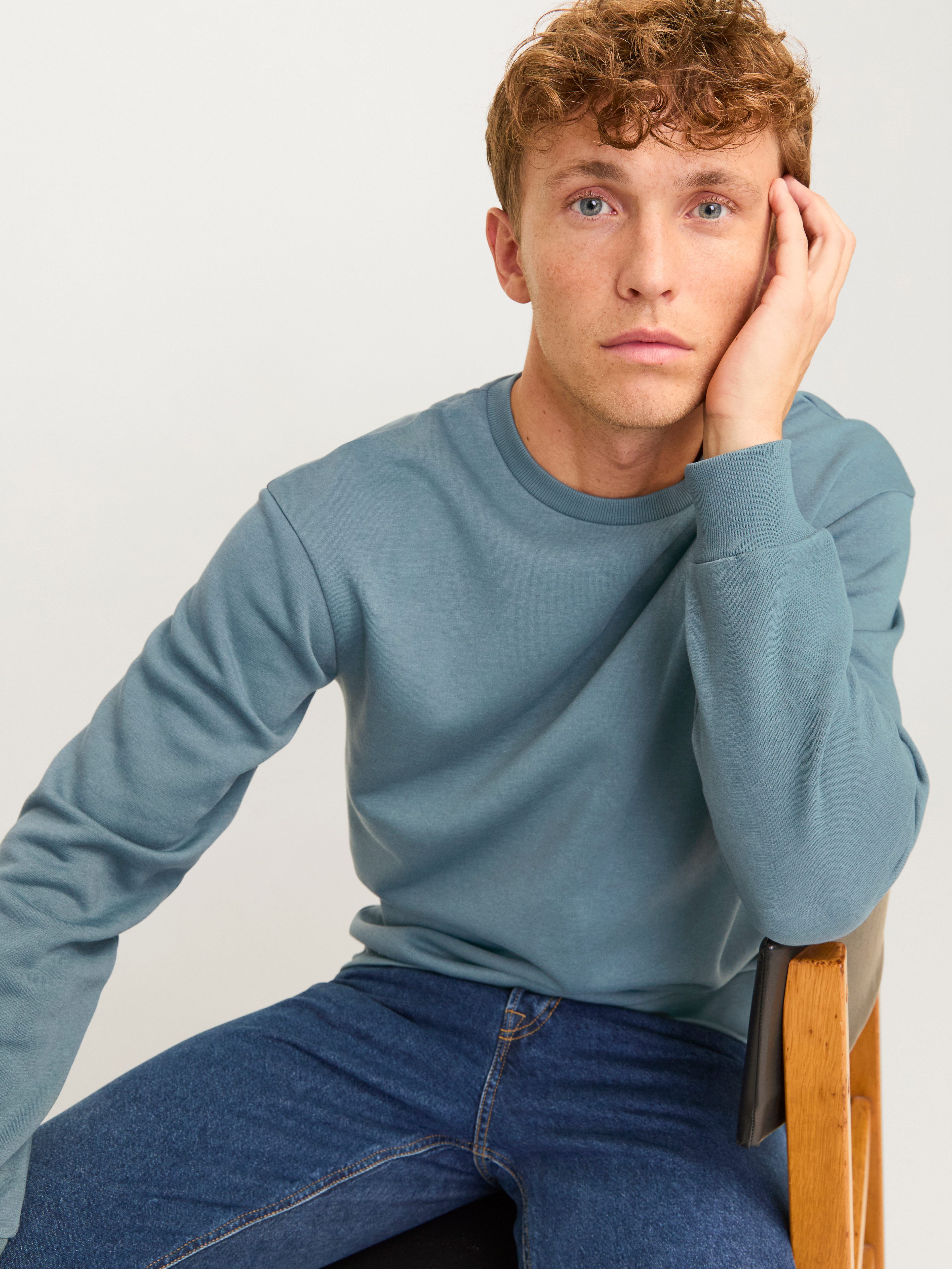 Jack & Jones Sweatshirt JJEBRADLEY SWEAT CREW NOOS