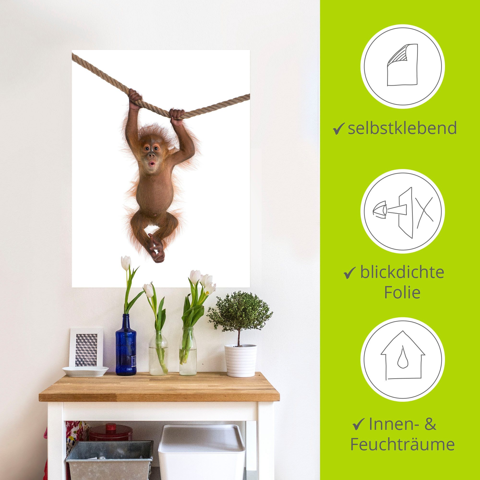 Artland Artprint Baby orang oetan hangt aan het touw II als artprint van aluminium, artprint voor buiten, artprint op linnen, poster, muursticker
