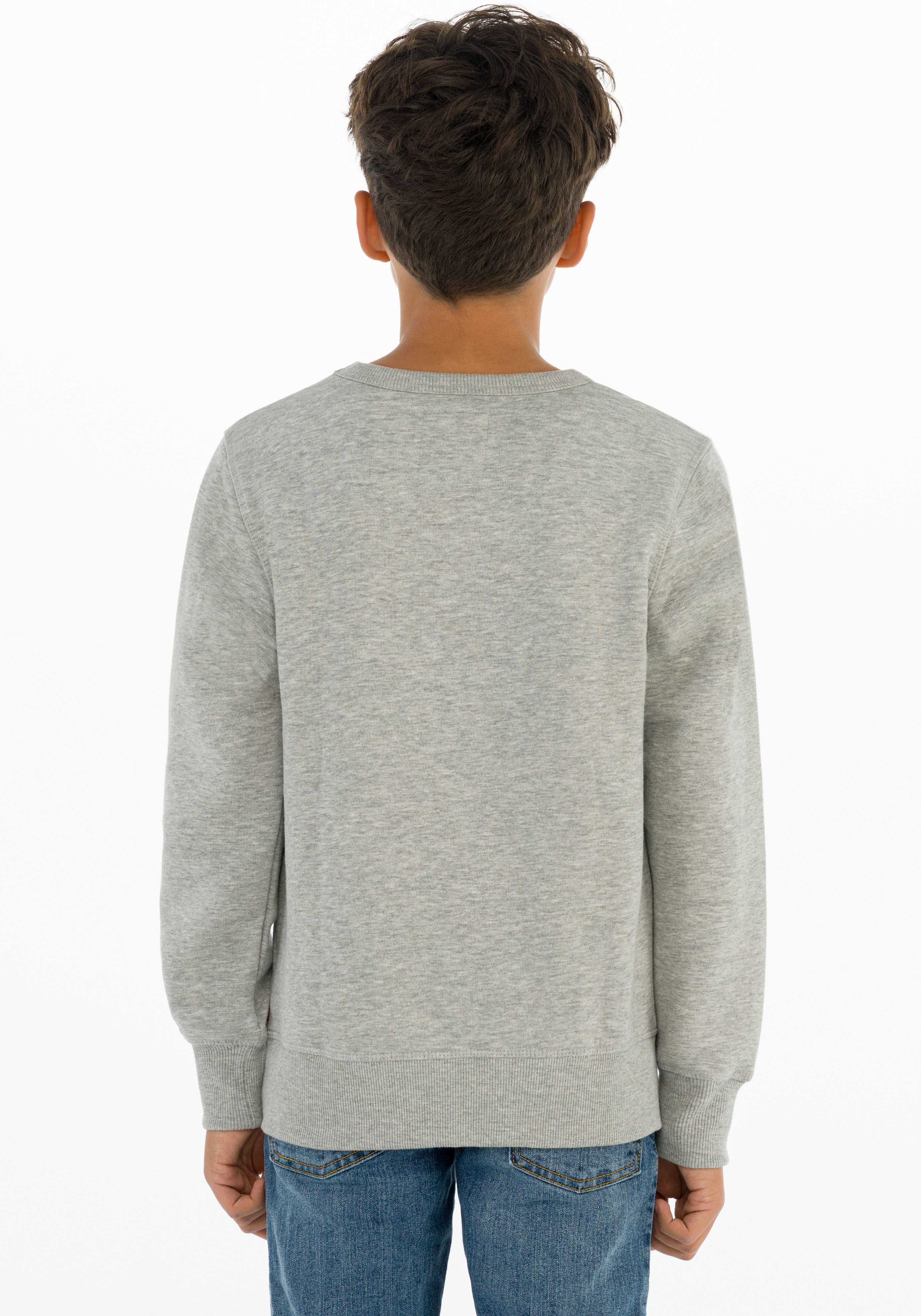 Levi's Kidswear Sweatshirt LVB LVB FRENCH TERRY BATWING