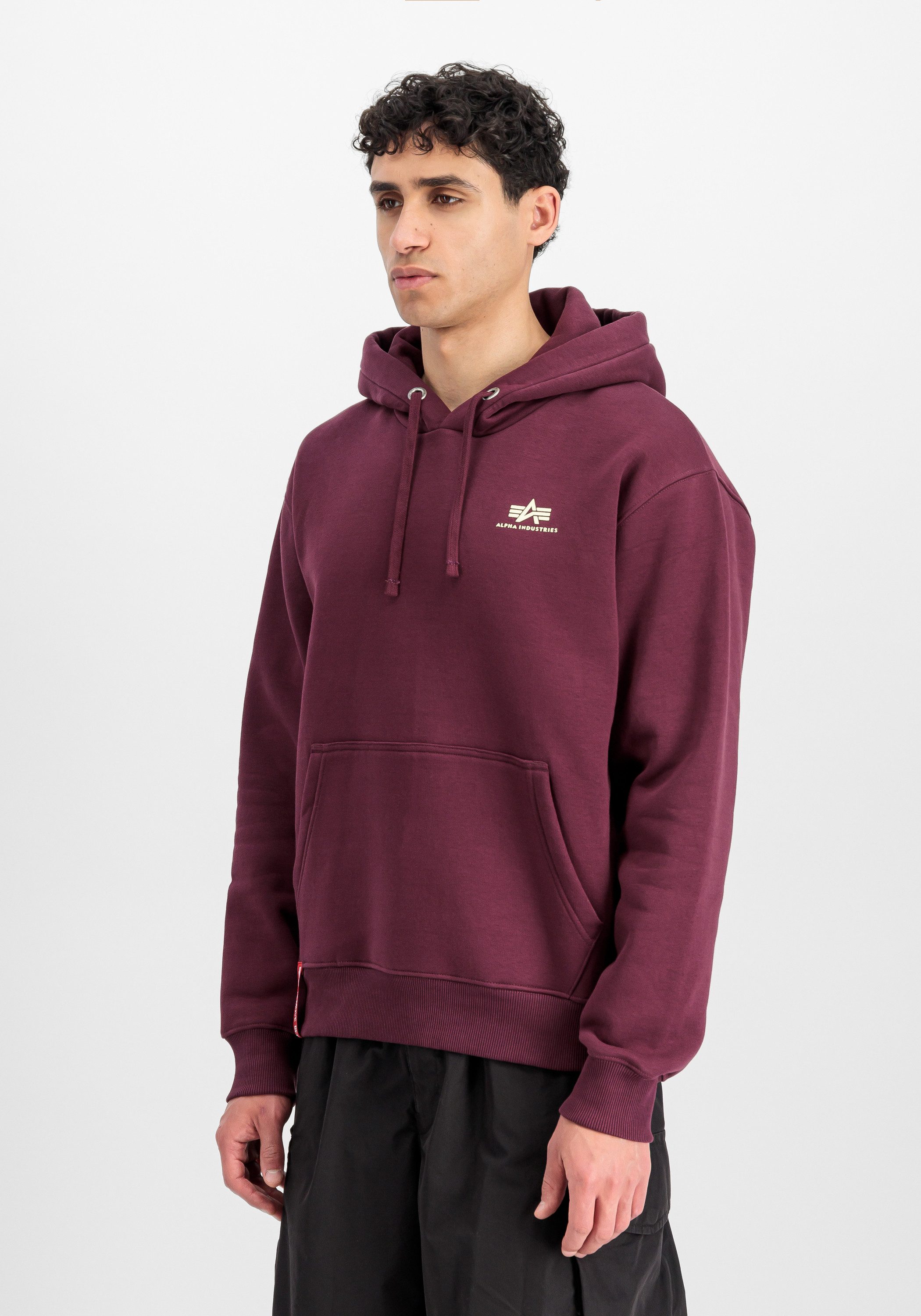 Alpha Industries Hoodie Basic Hoodie SL