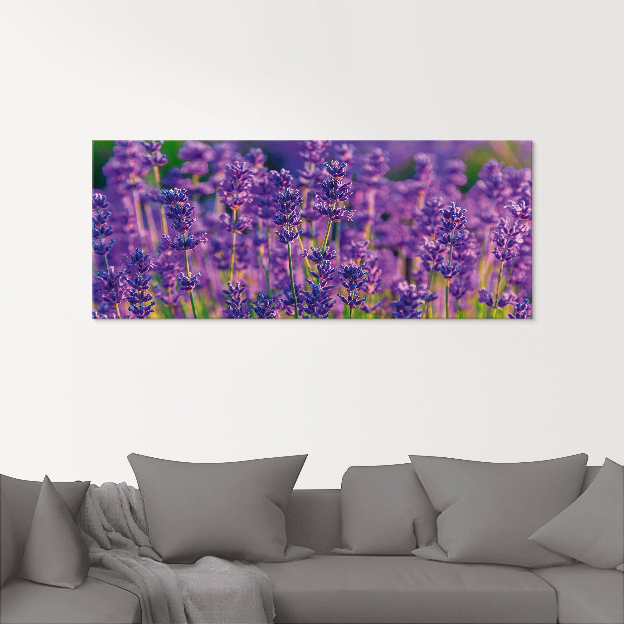 Artland Print op glas Lavendelveld in Tihany, Hongarije