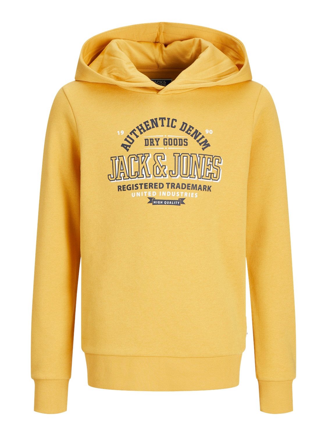 Jack & Jones Junior Hoodie JJELOGO SWEAT HOOD 2 COL 24 25 NOOS JNR