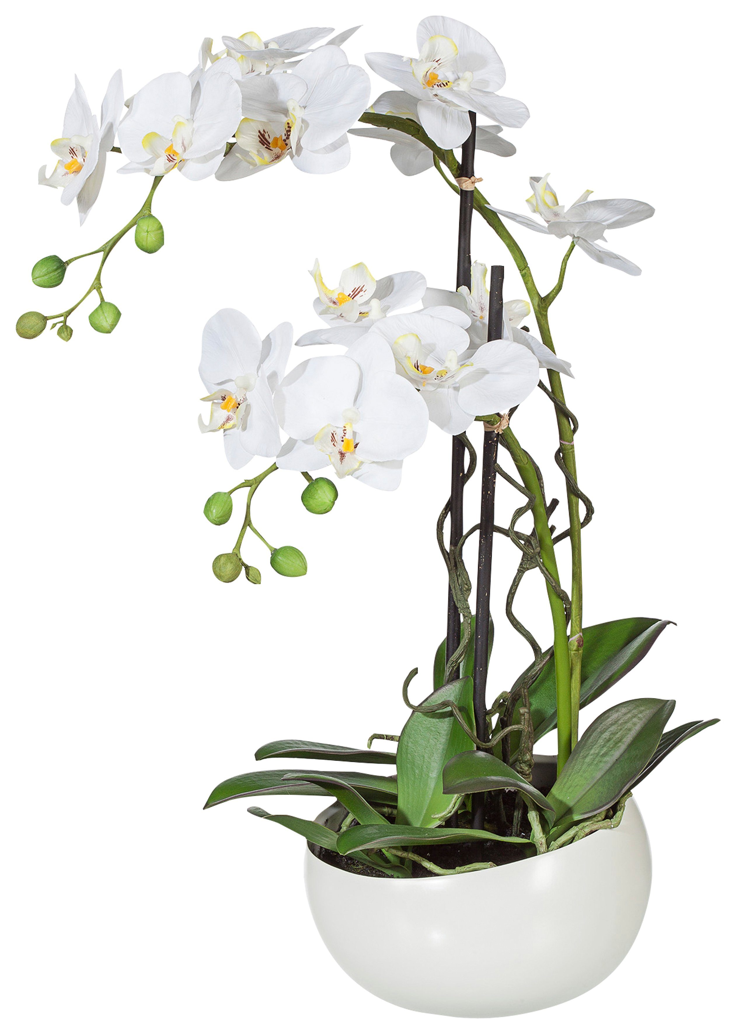 Creativ green Kunstplant Orchidee